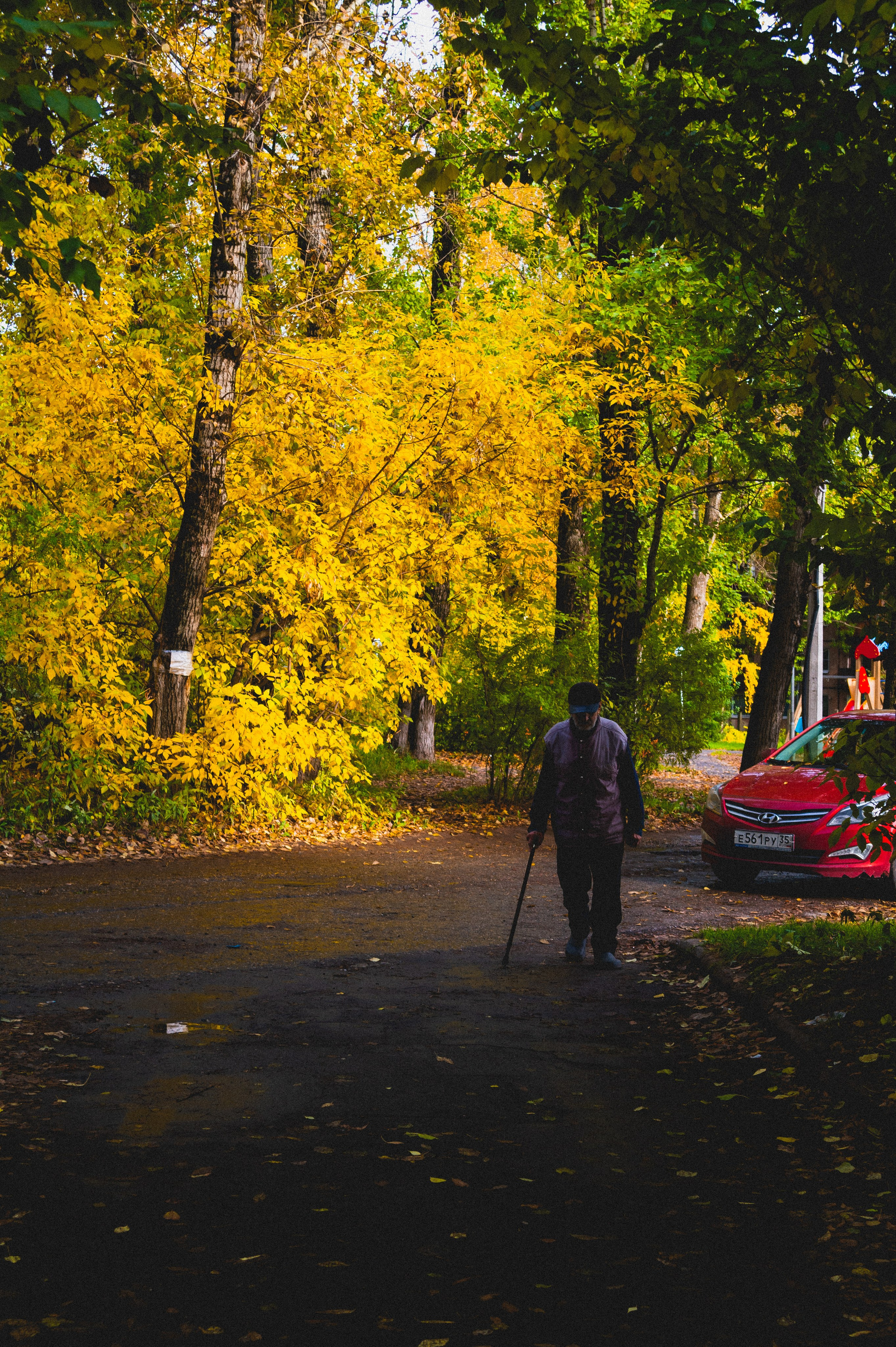Октябрь 2025. Den Mirov — Фотограф, Музыкант