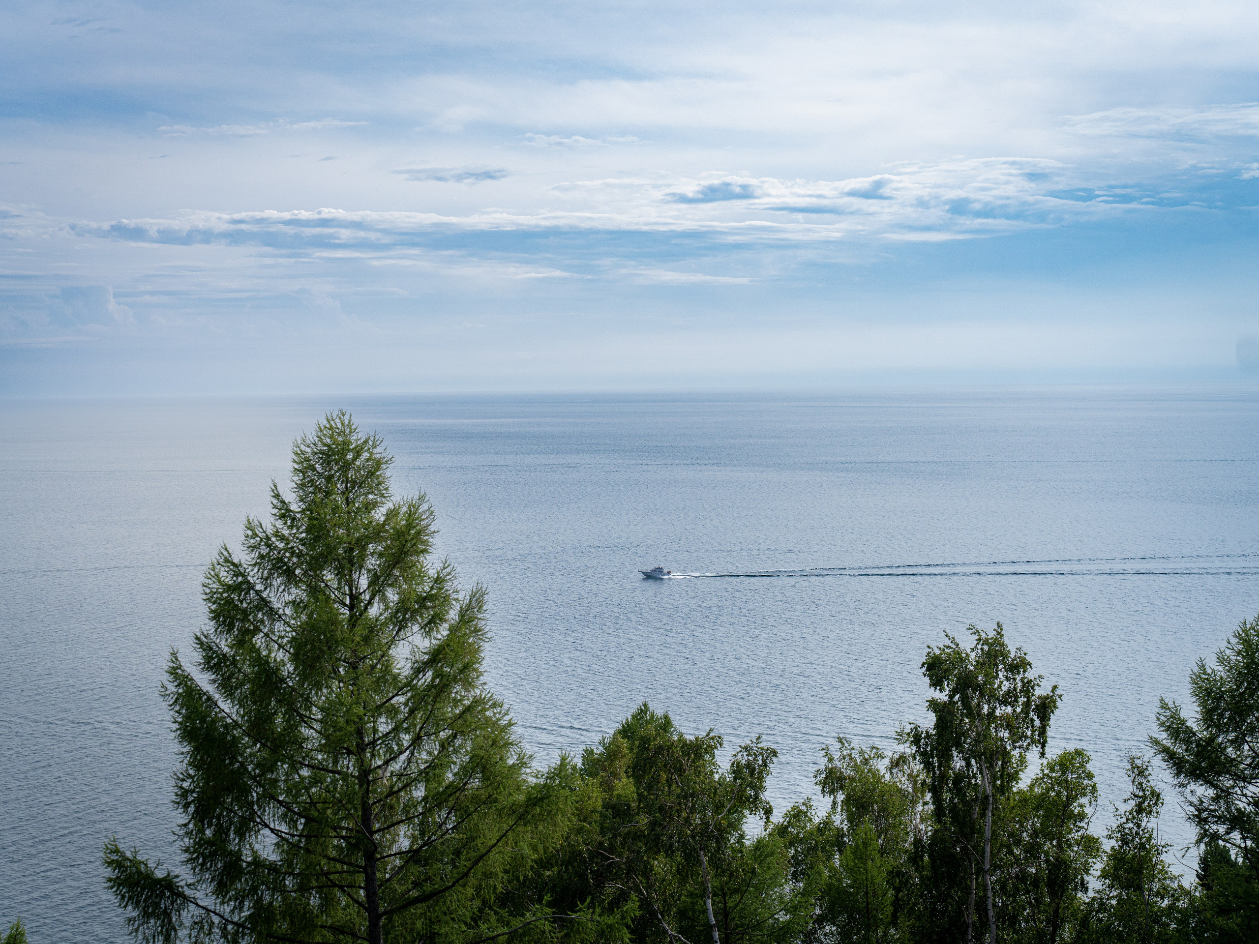 Бабр 2025. Фотограф в Иркутске на все важные случаи жизни