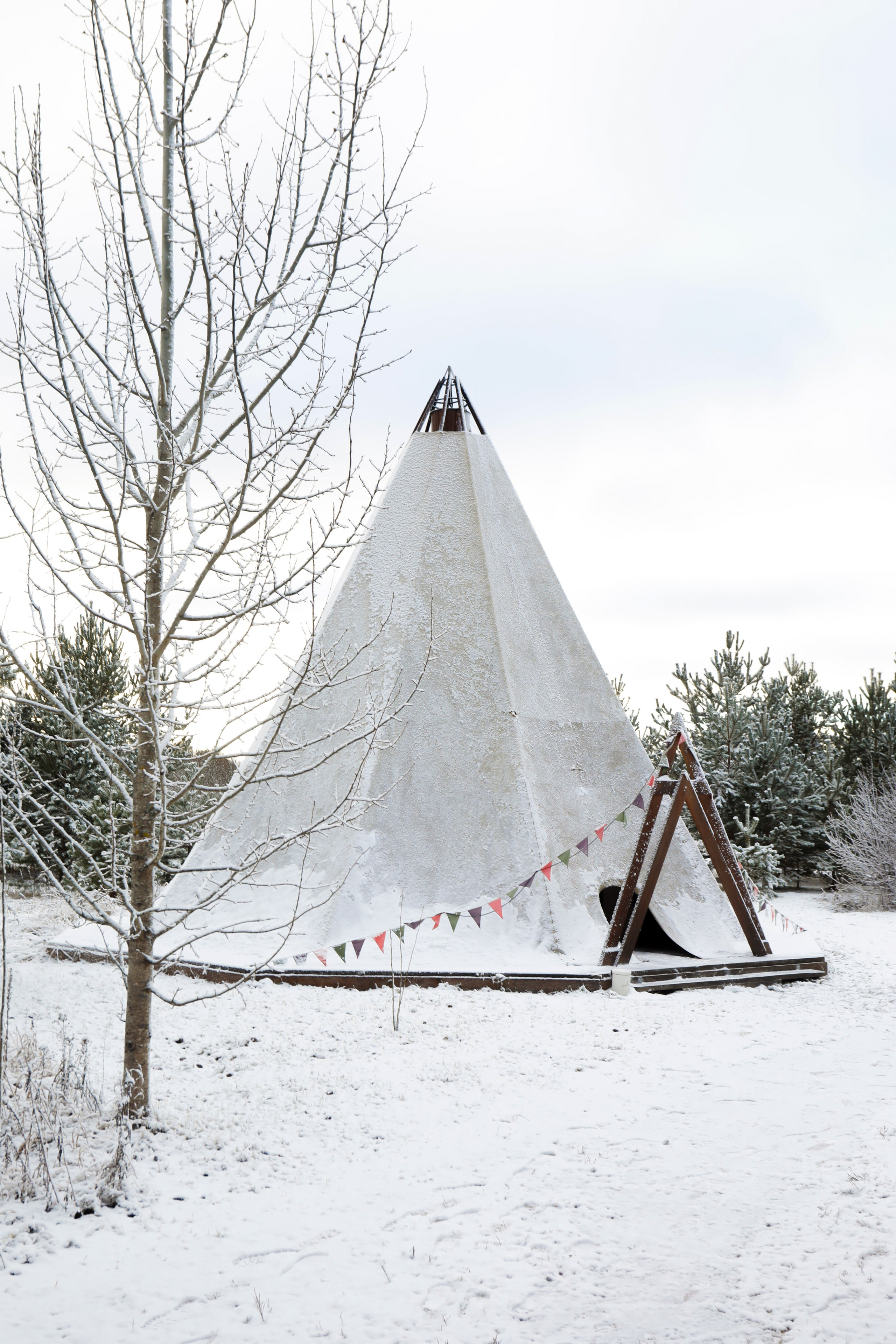 Boho Camp. Elizabeth Marriott