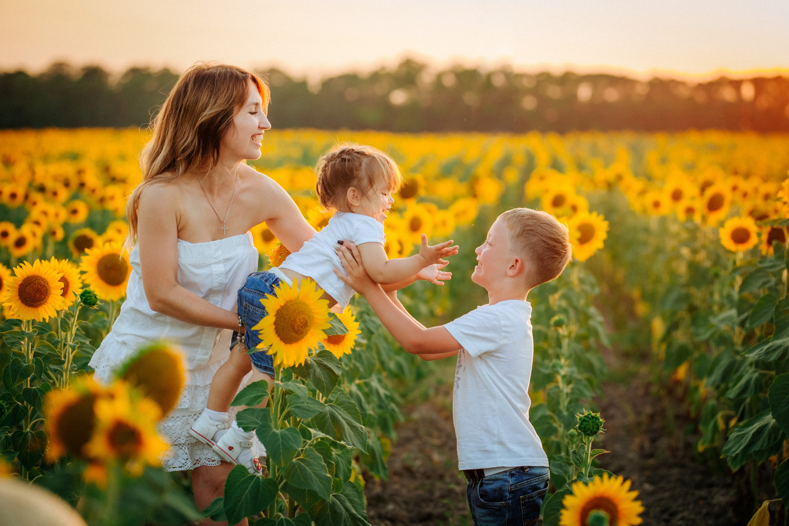 Подсолнухи!. Семейный, детский, свадебный, фотограф в городе Анапа