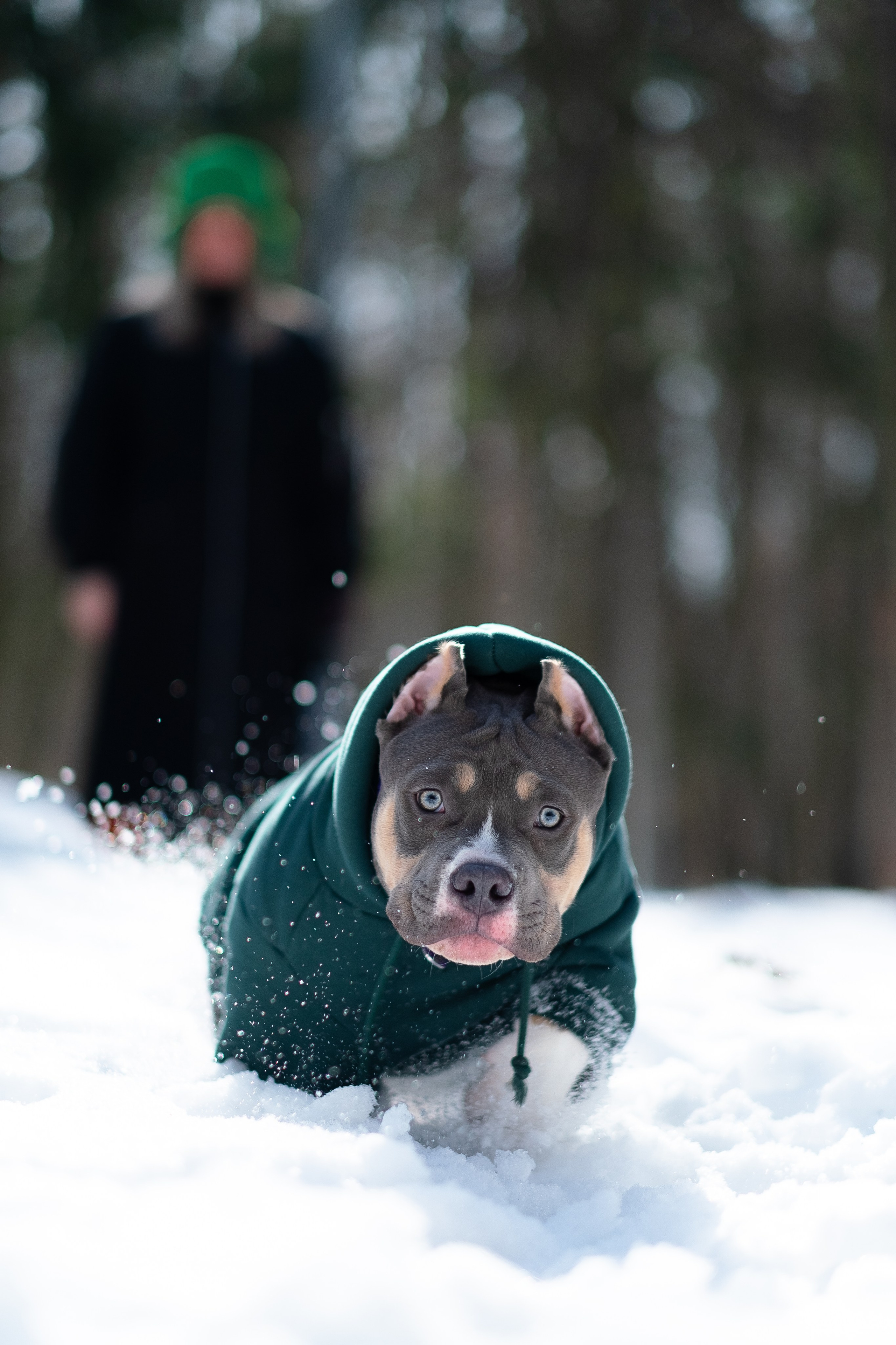 Валерия и Наган. Фотограф и видеограф анималист Аганина Дарья
