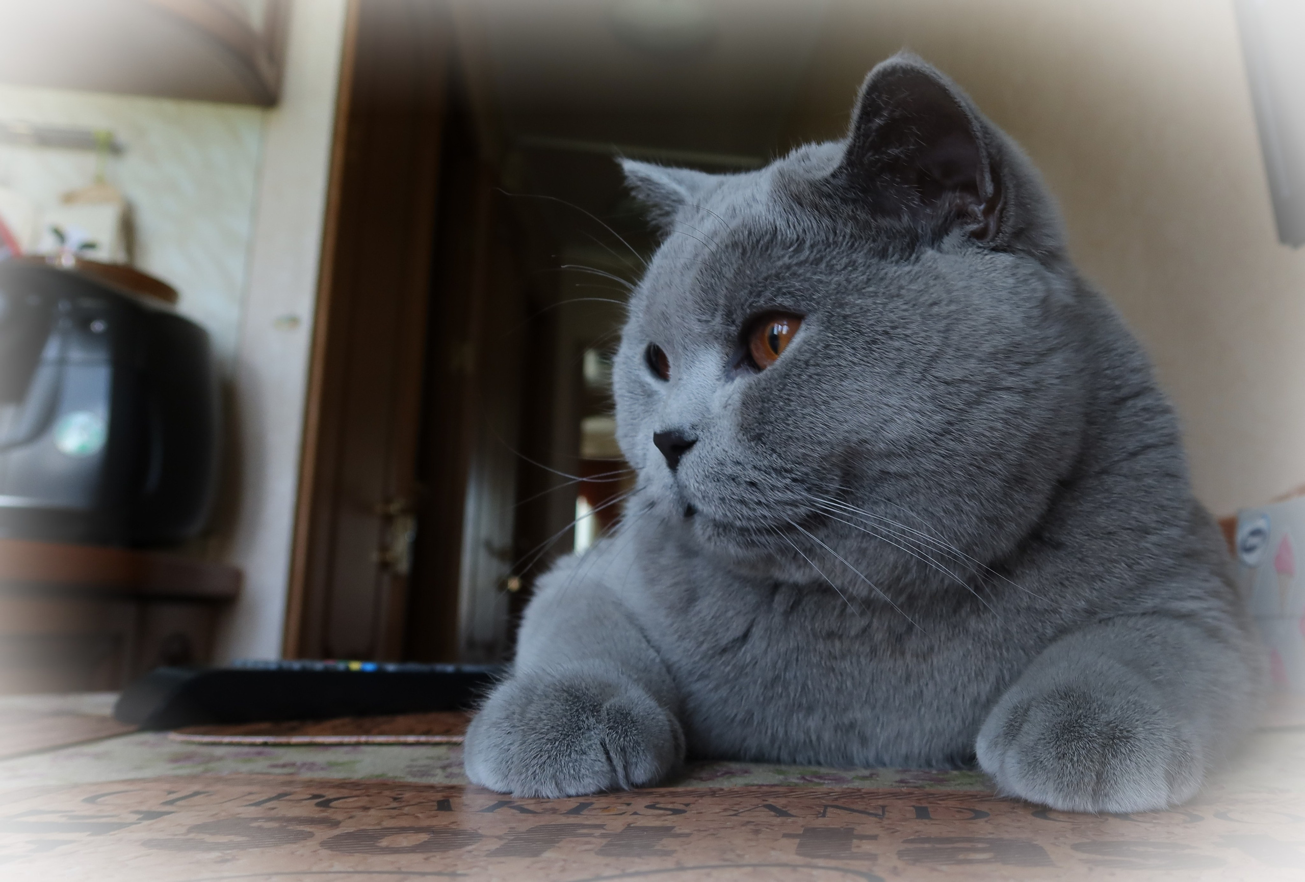 Улица, люди, жизнь…