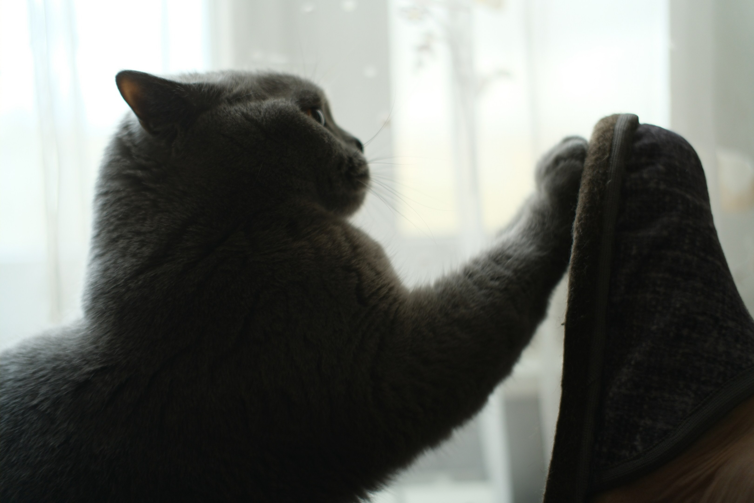 Сентябрь 2025. Улица, люди, жизнь…