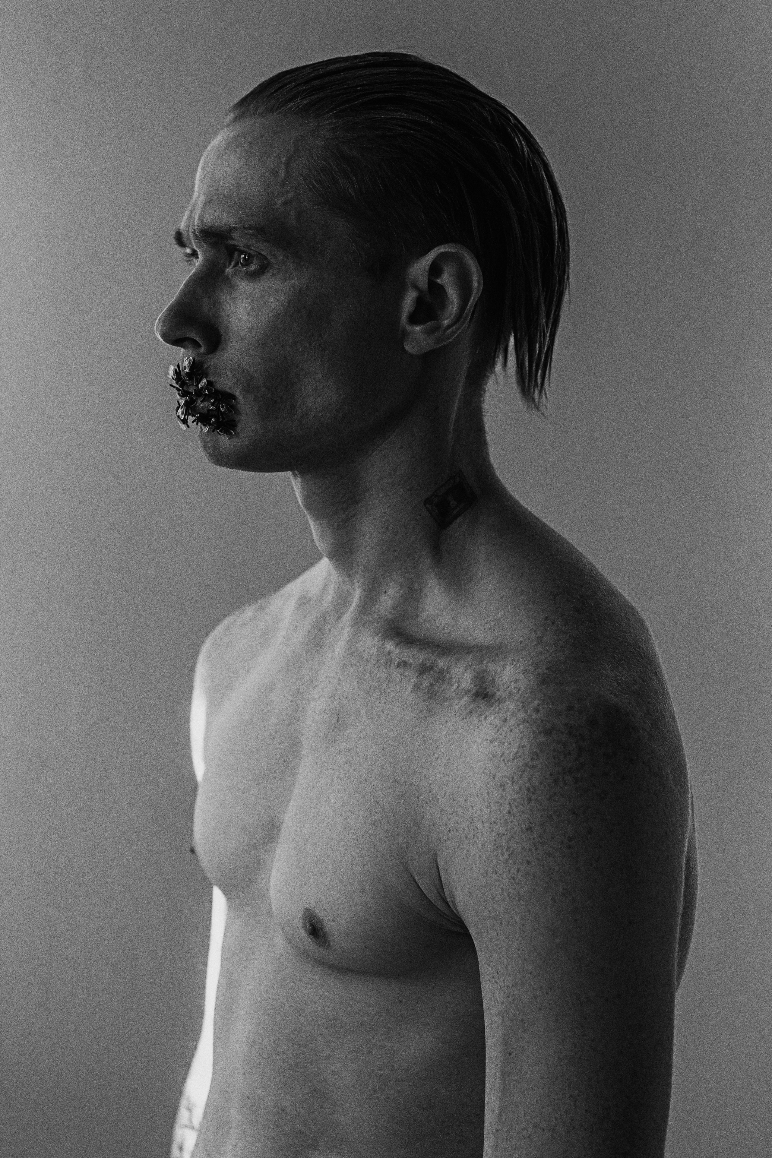 Leto. Сергей Виноградов фотограф Россия Санкт-Петербург