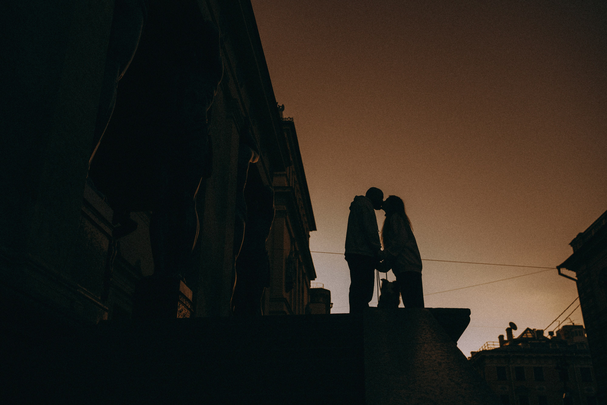 Таня, Дима и Чейси. Фотограф анималист в Москве и Санкт-Петербурге Свиридова Анна