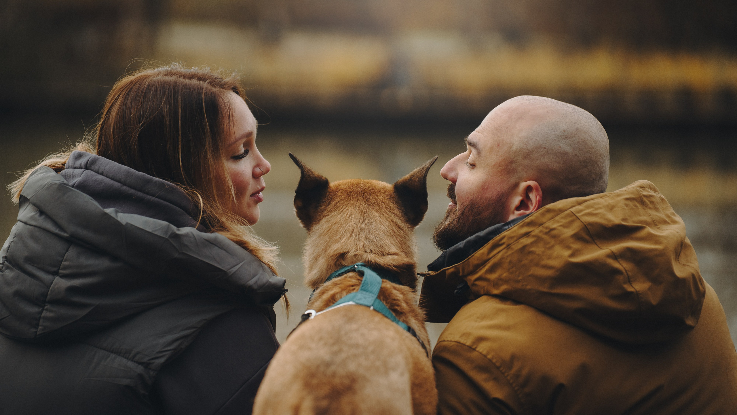 Наталия, Иван и Урса. Фотограф анималист в Москве и Санкт-Петербурге Свиридова Анна