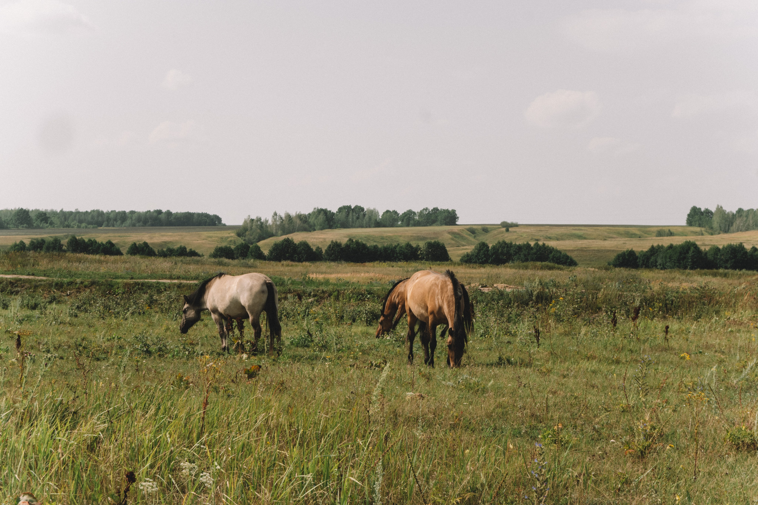 Пейзажи. Фотограф Димитровград Казань Валерия Владимиркина