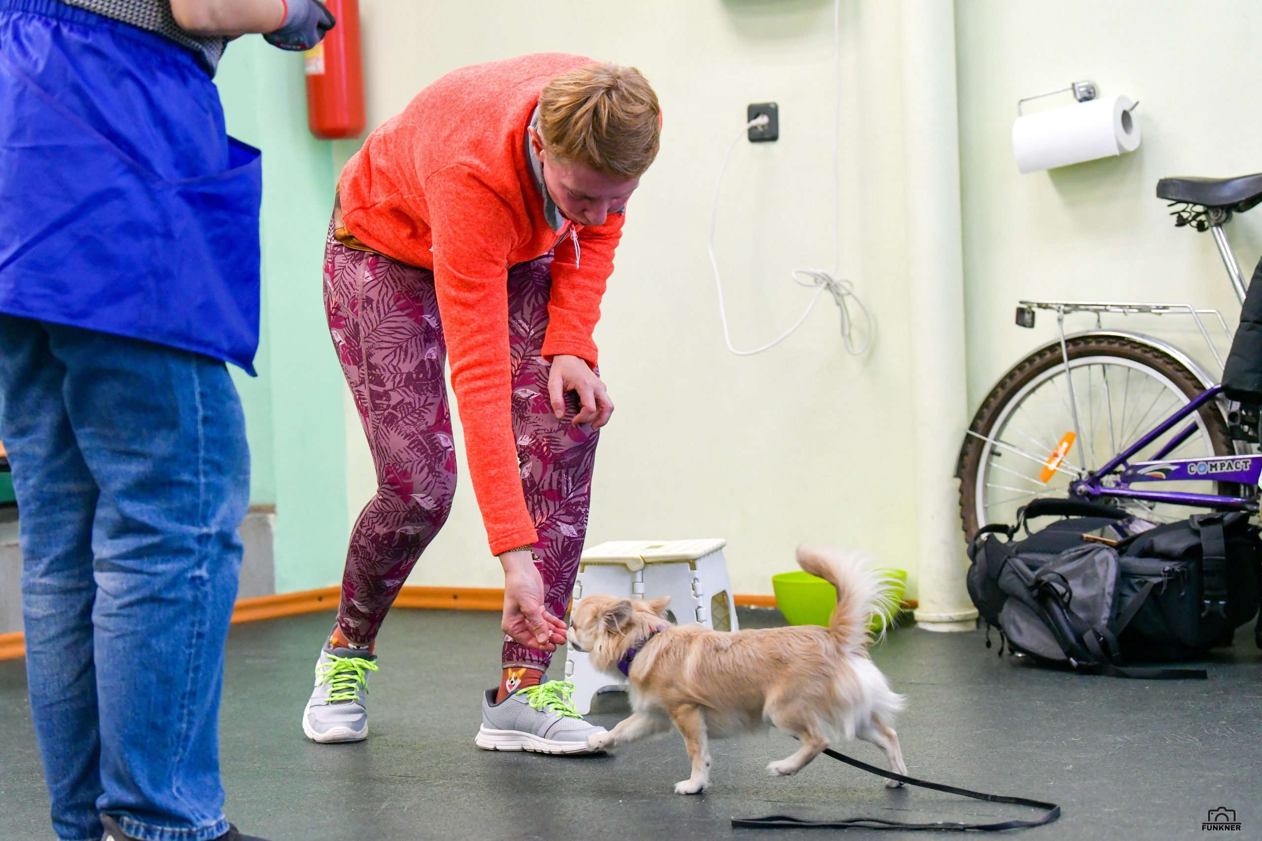 Кинологический клуб «Бодрый хвост». Свой взгляд через объектив