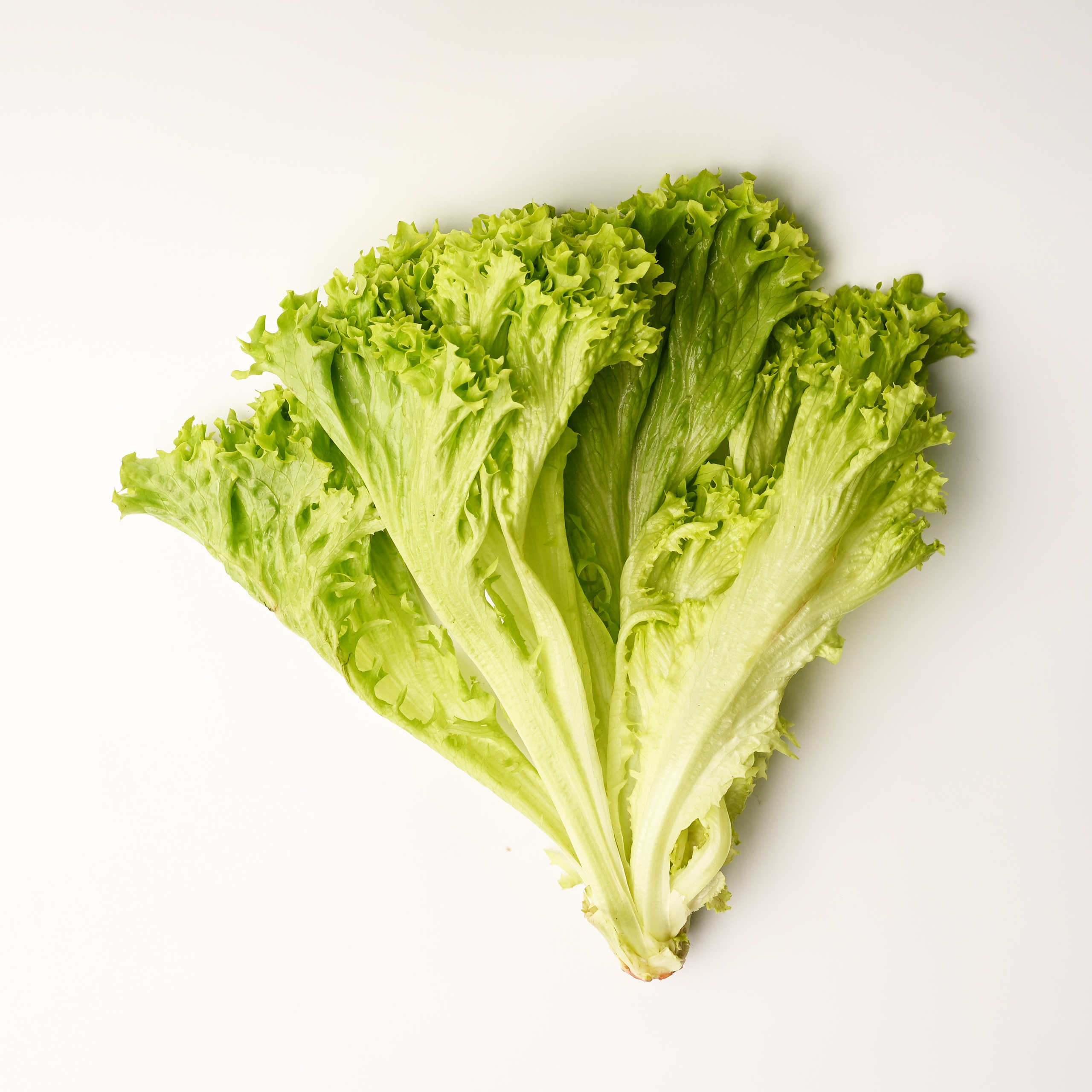 Реклама. De_ross photo. Москва. Санкт-Петербург. Россия