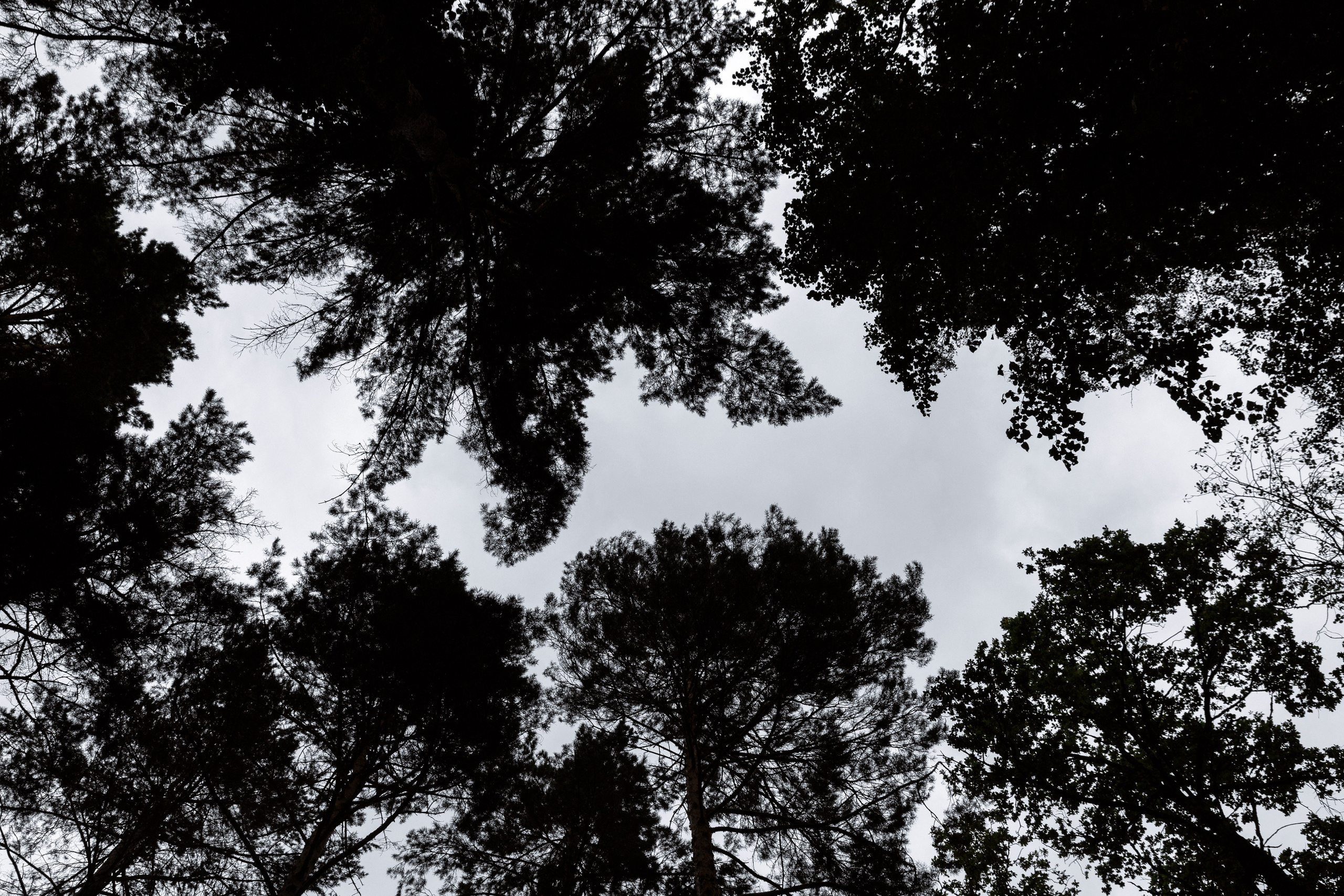 A&V. Фотограф Константин Жуйков