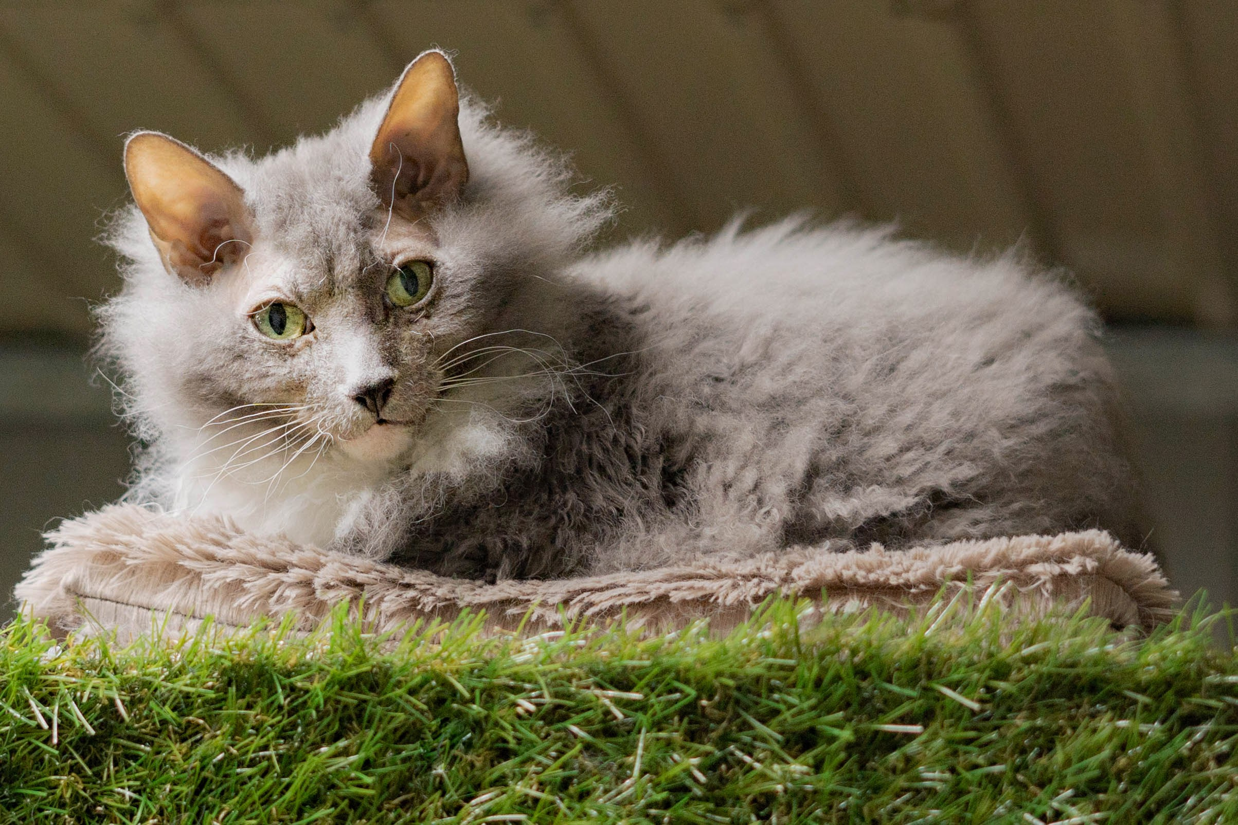 Гостиница. Фотограф Екатерина Зорина