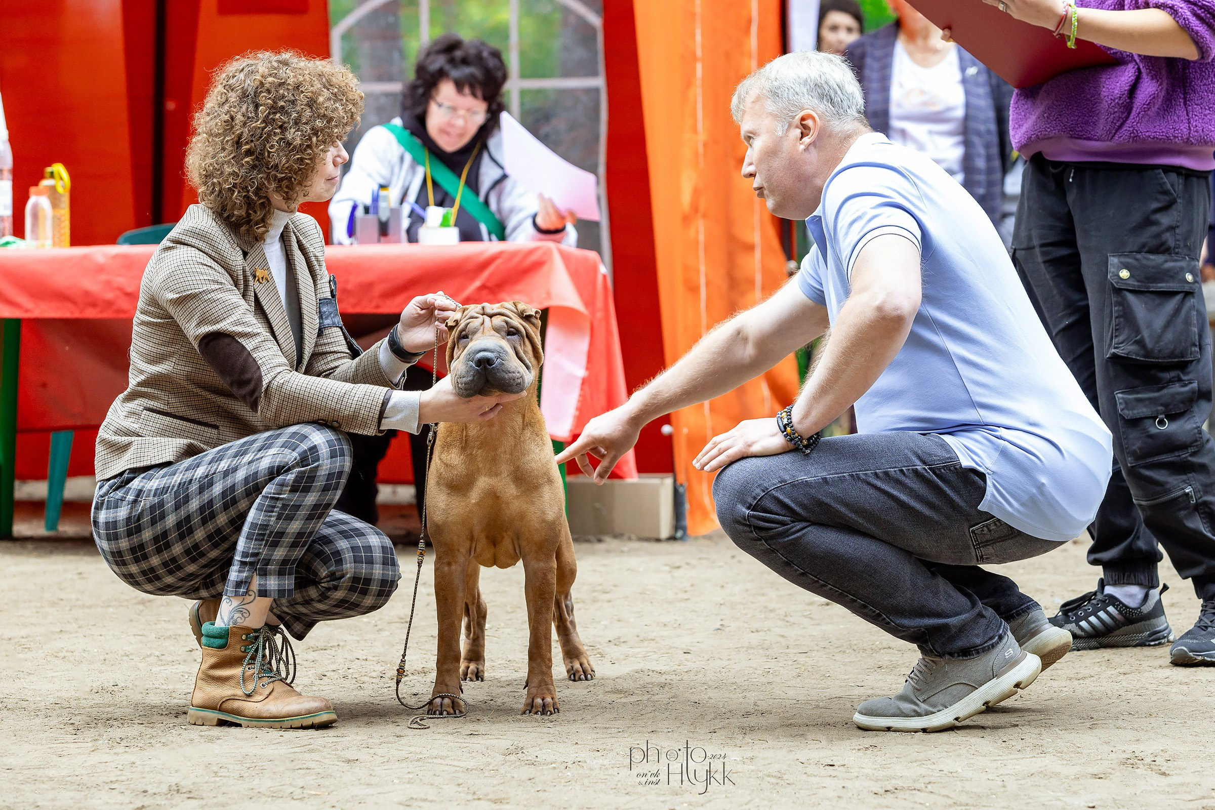 24 августа 2024, Выставка РКФ, г. Пермь. Htykk_photo