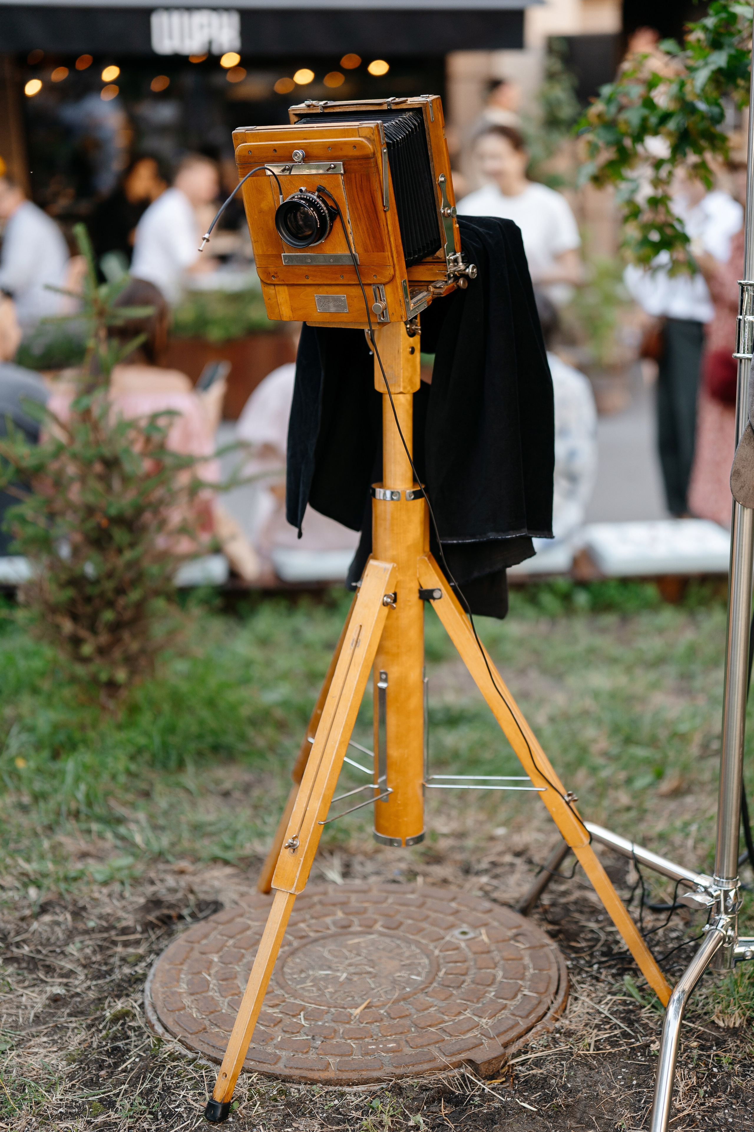 ГастроБистро Цирк. Свадебный и репортажный фотограф в Москве Андрей Вайман