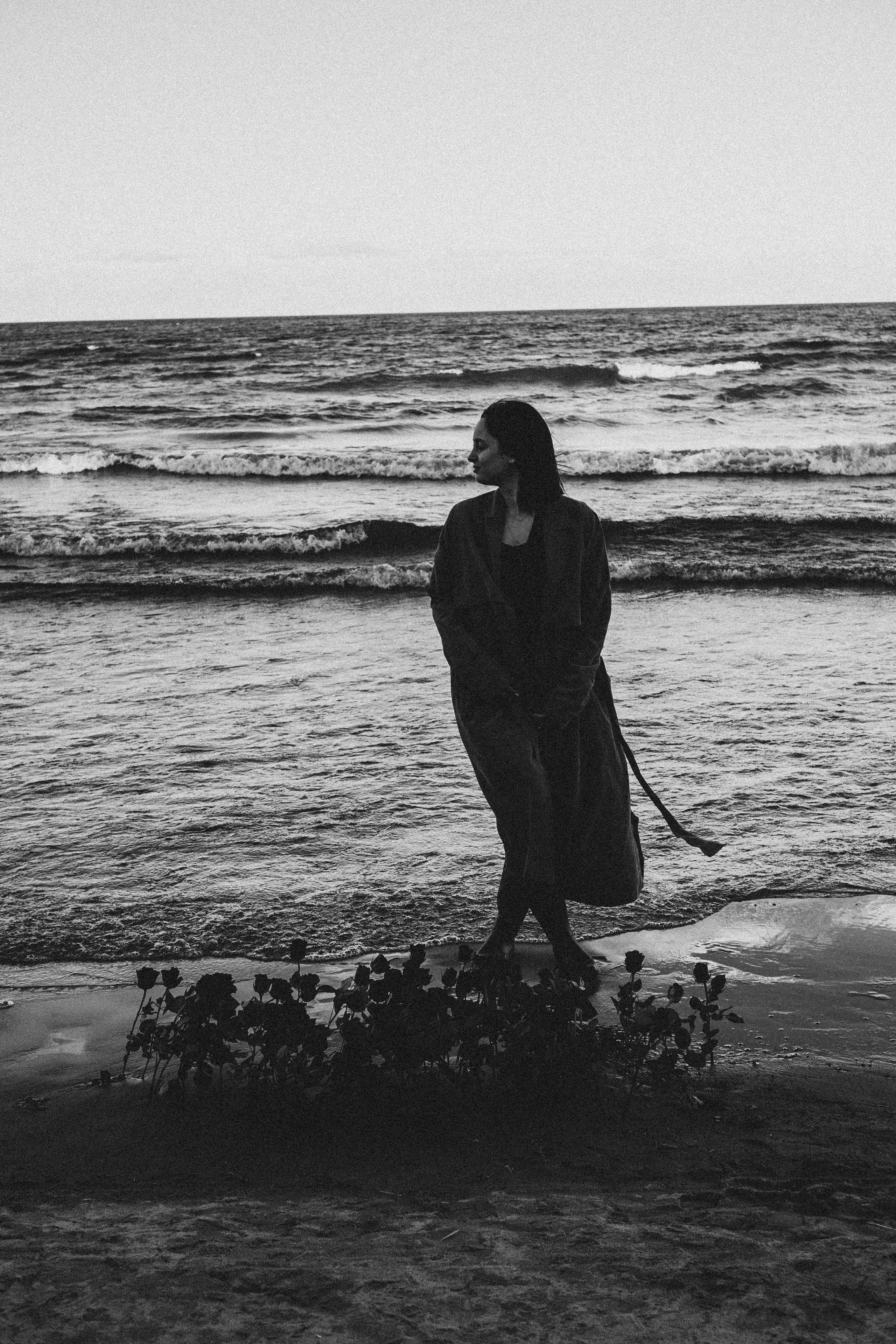 Розы. Профессиональный фотограф, Санкт-Петербург — Виктория Богомолова