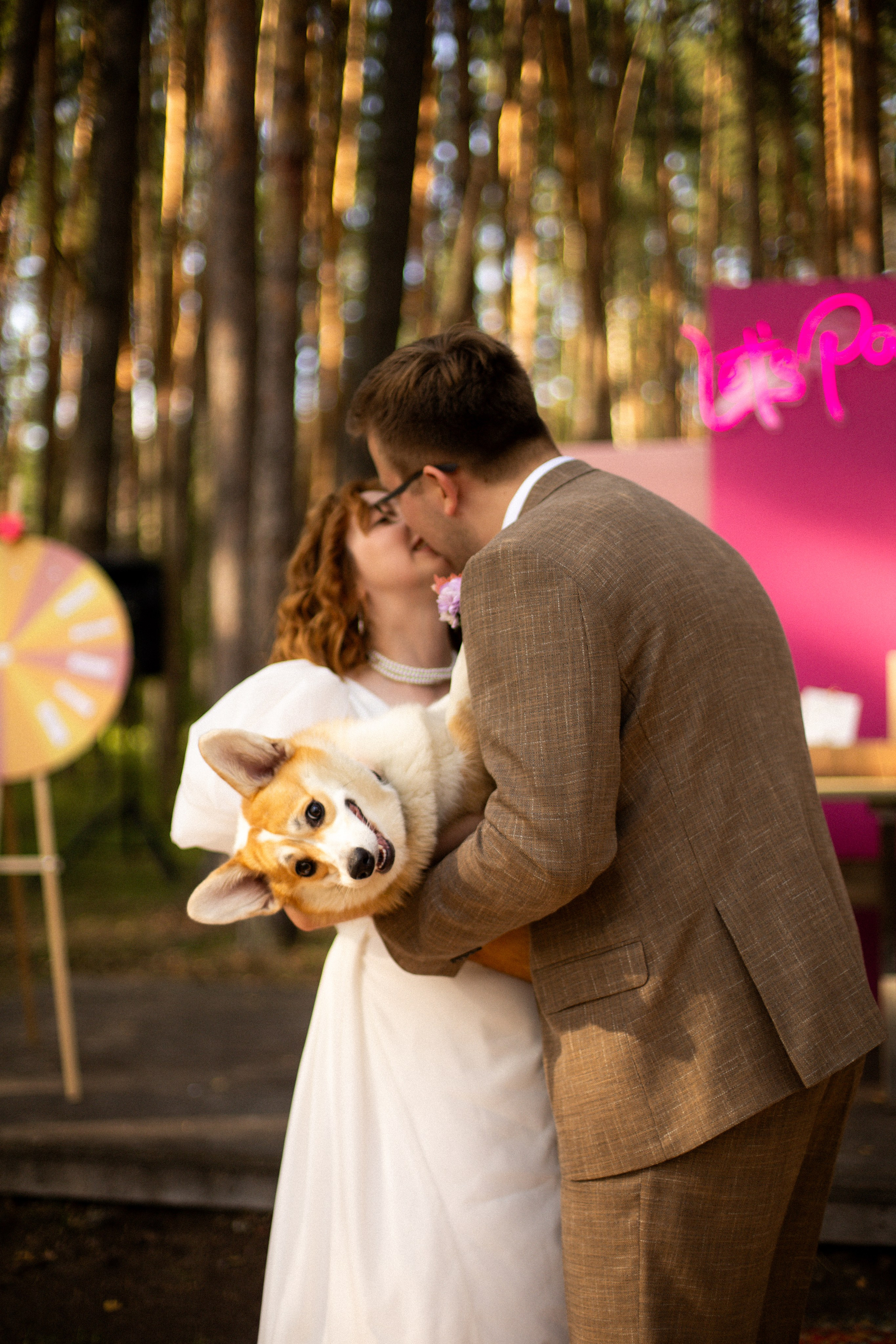 Корги свадьба в сосновом лесу. Фотограф Москва Жуковский Раменское