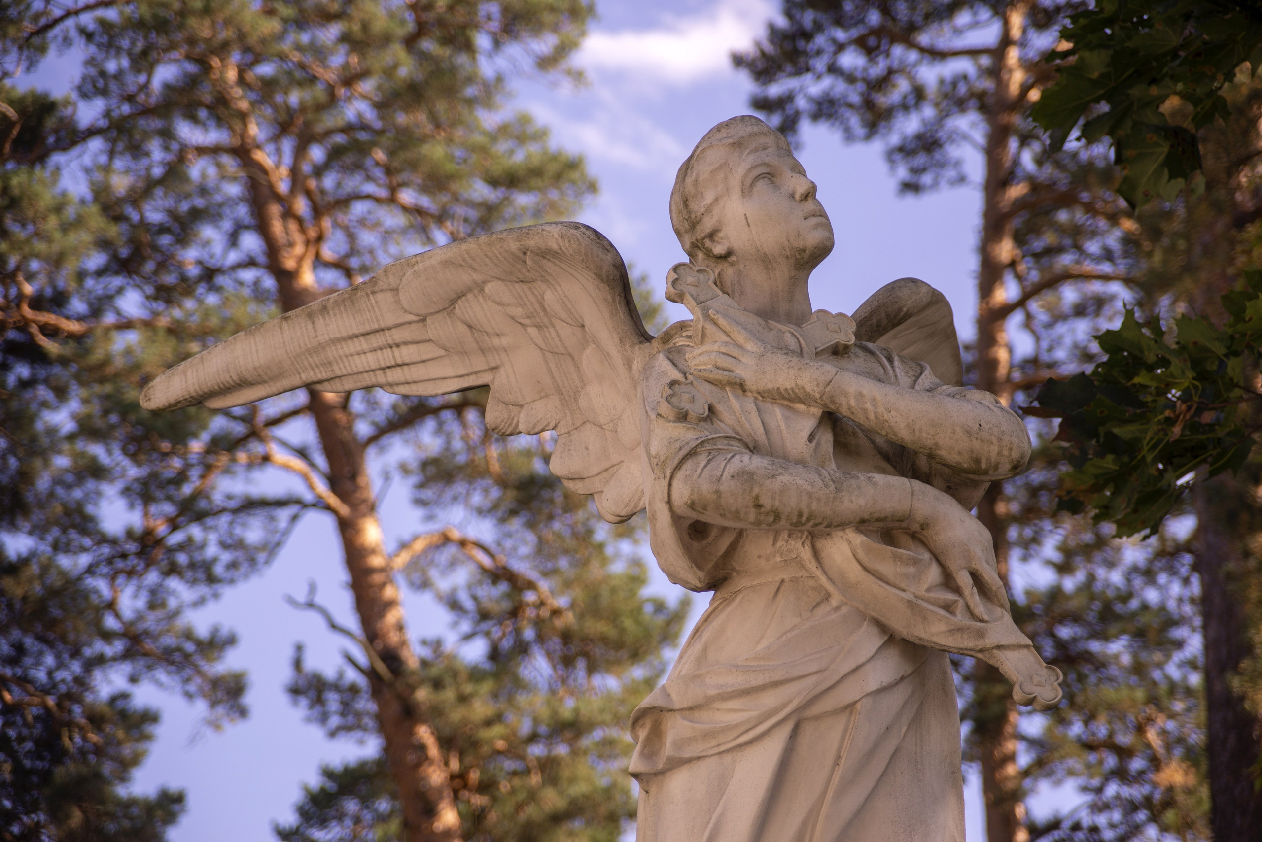 Архангельское. Сентябрь 2023. Игорь Жучков. Россия увиденная глазами путешествующего фотографа