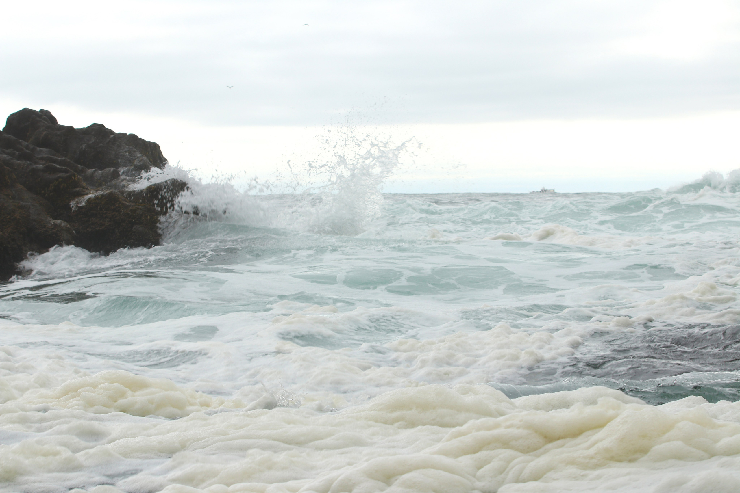 Камчатка и о. Парамушир. Июль 2024. Путешественник-фотограф из Санкт-Петербурга Татьяна Свистулина
