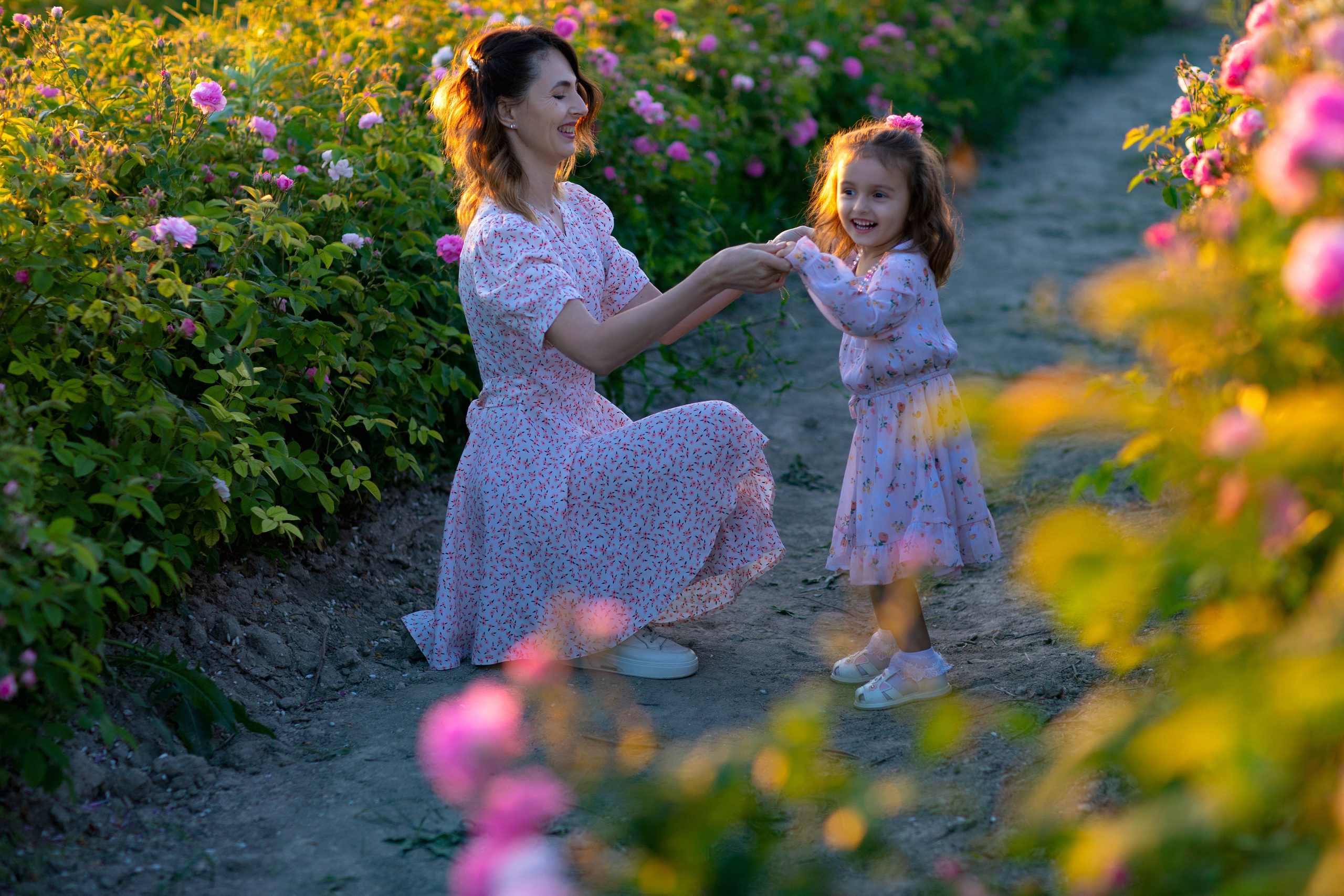 Чайная роза. Фотограф Севастополь/Крым Светлана Евтушенко