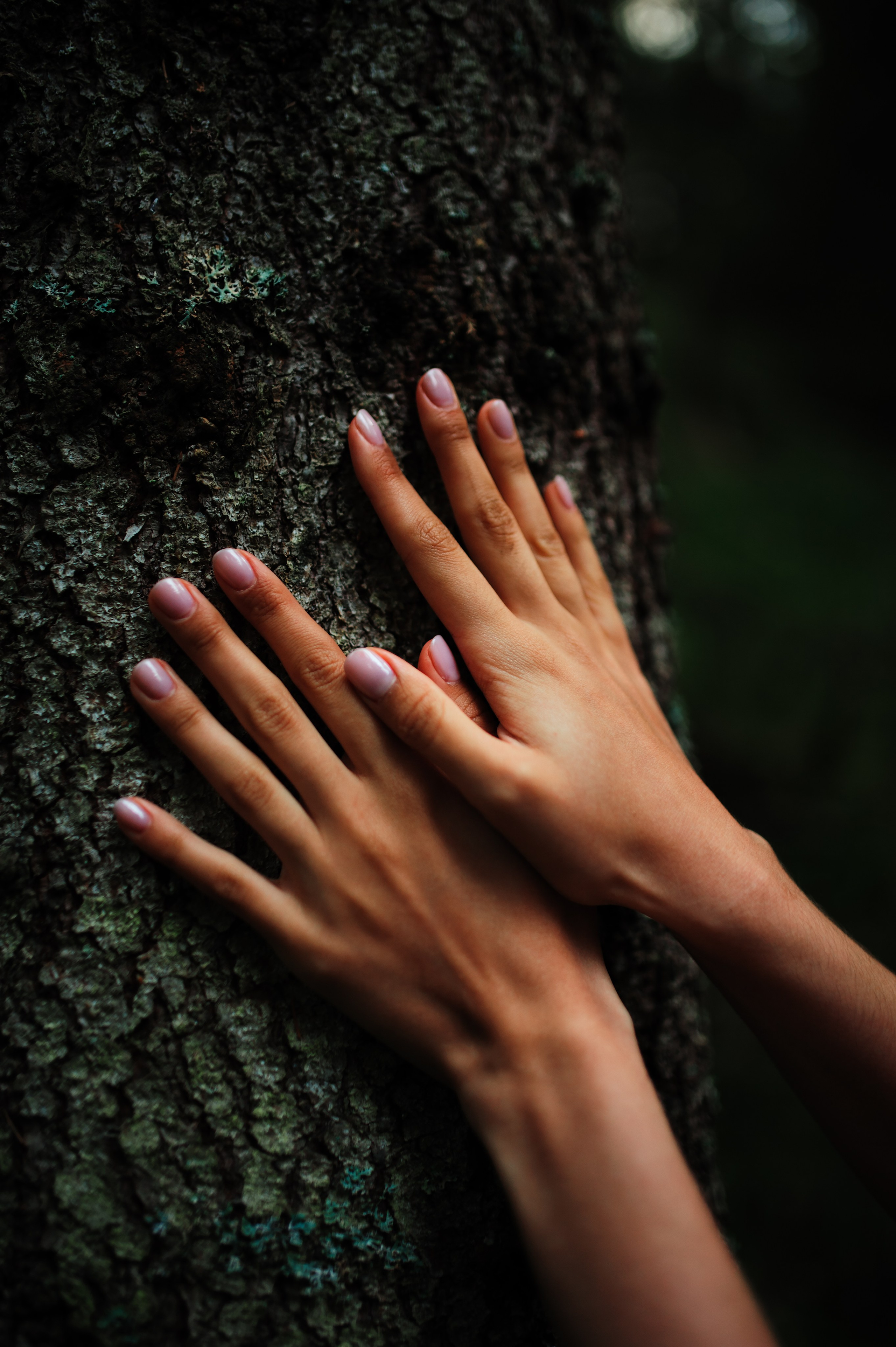 Lisa. Творческий фотограф в Санкт-Петербурге — Никита Шохенмайер