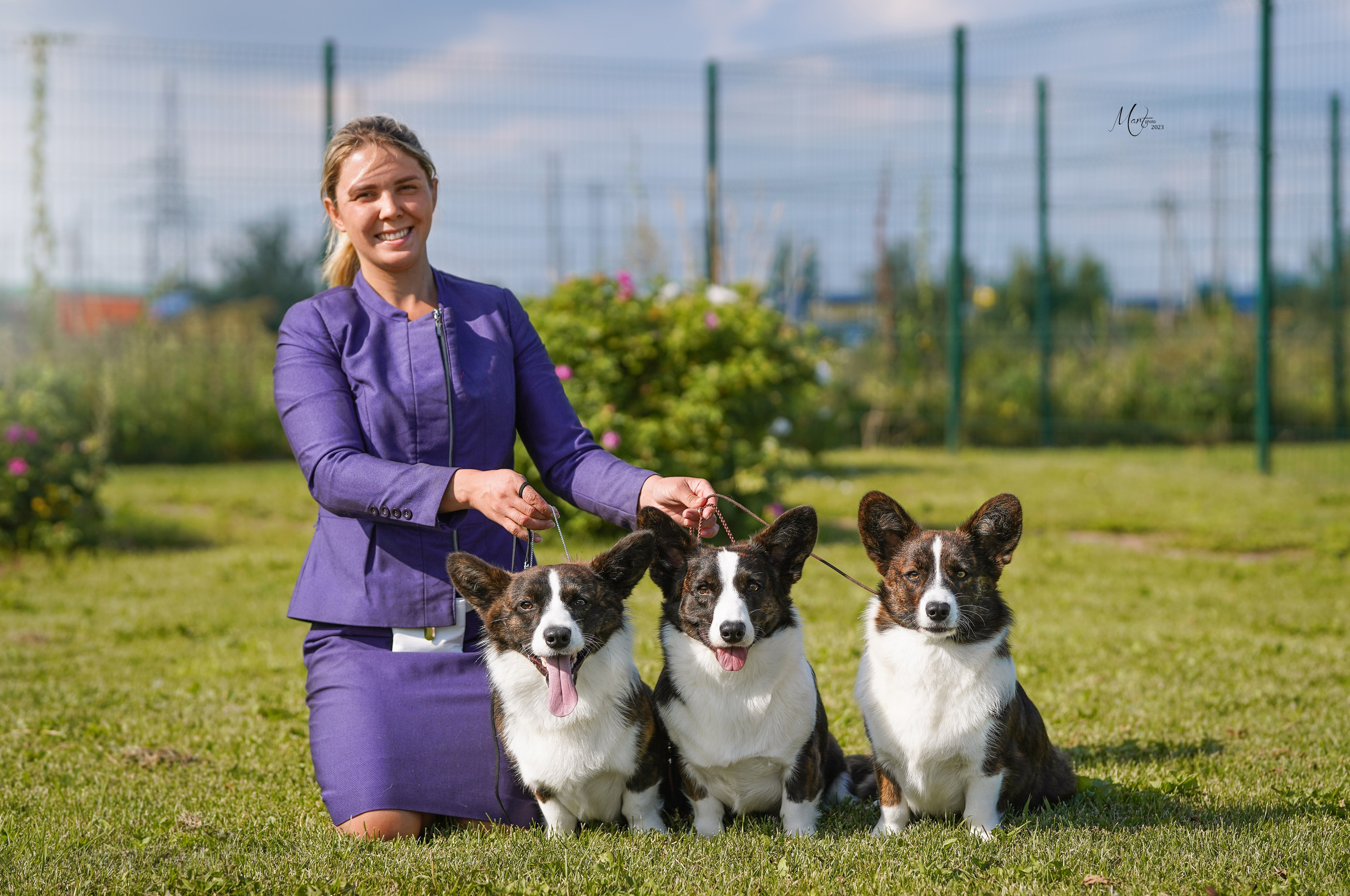 Выставки 2023. Фотограф-анималист в Санкт-Петербурге Яна Мартынова