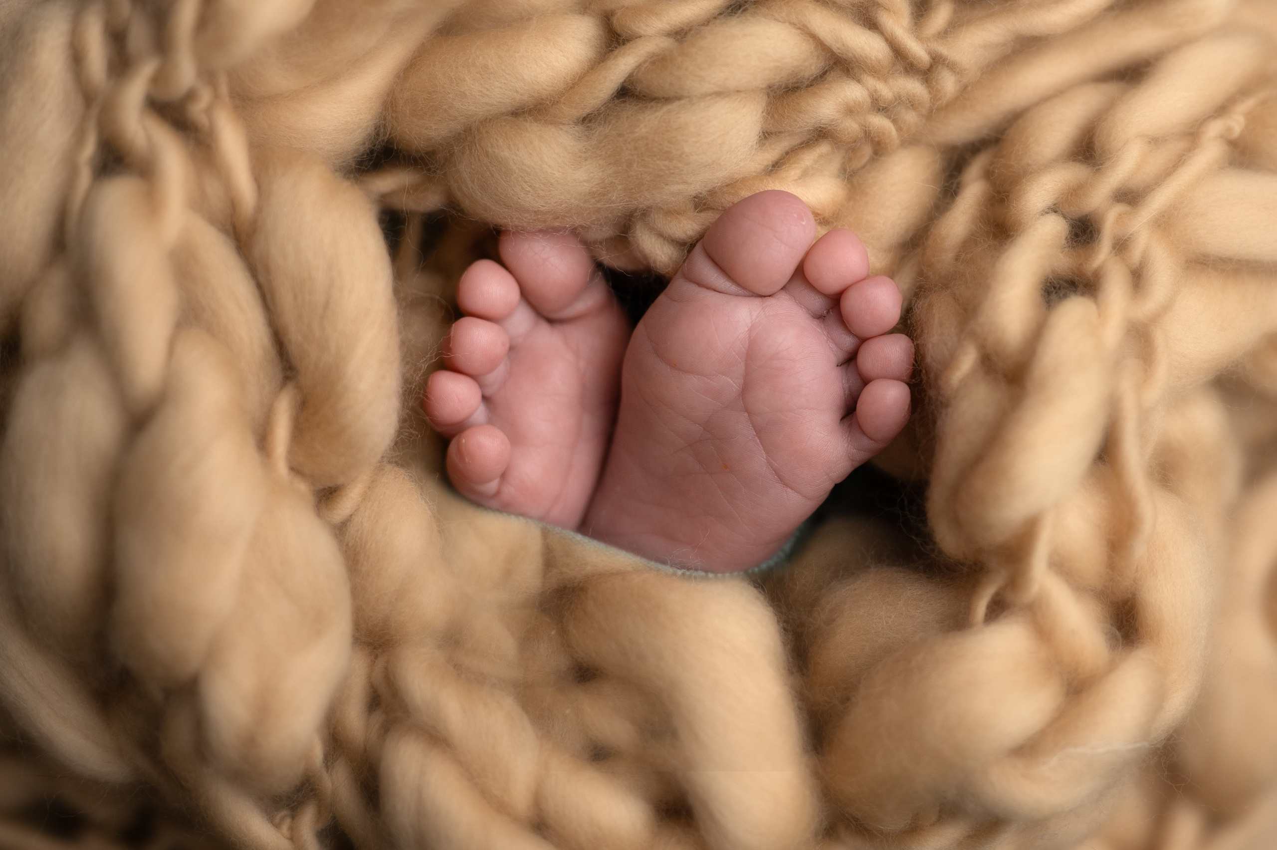 Саша 19 дней. Фотограф новорождённых Ольга Ушакова Москва