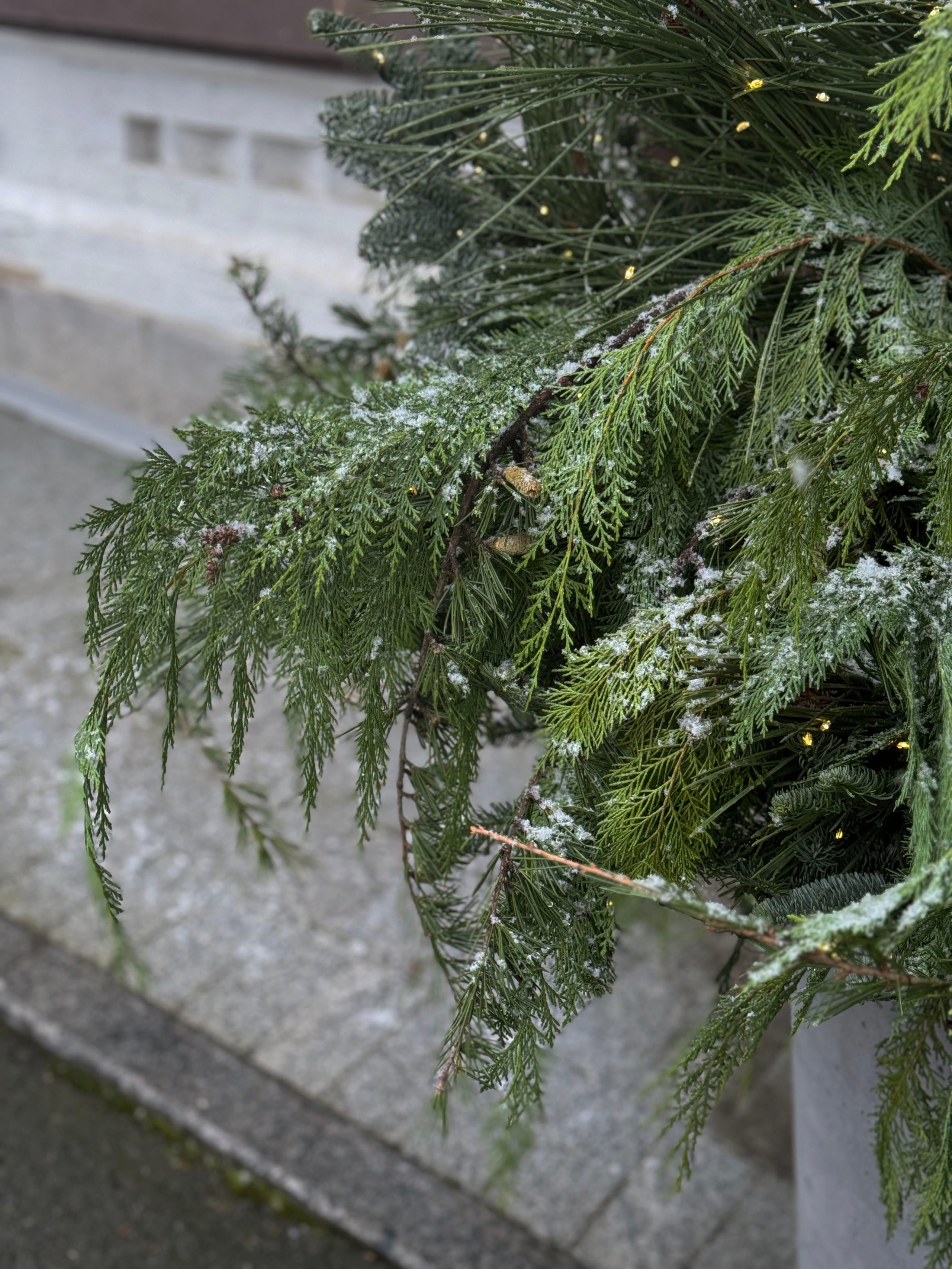 Посольство красоты 2025. Ксения Почтарь. Декоратор и флорист, город Владивосток