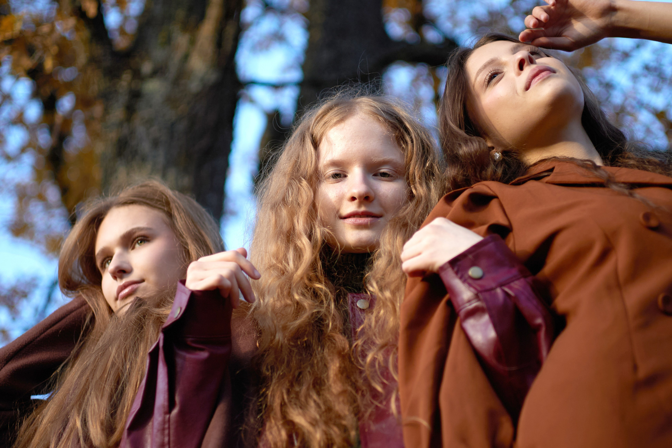 Золотая осень. Фотограф Рябухина Ирина. Г.Краснодар