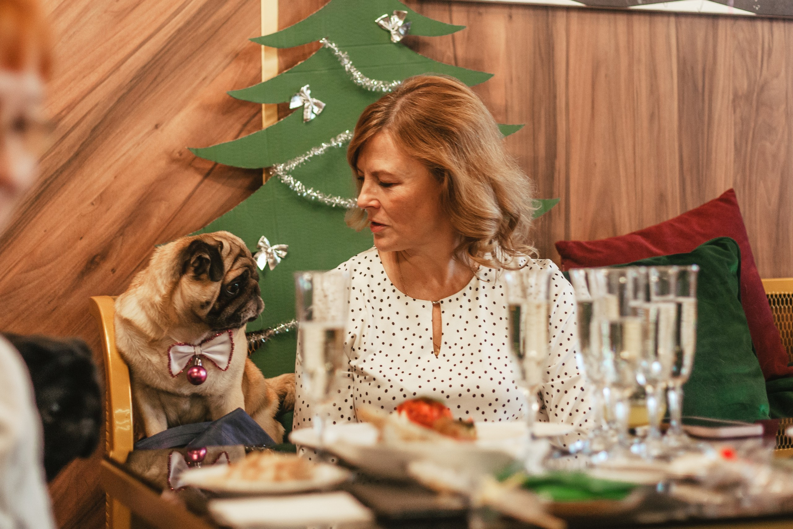 Мопсовстреча 02.12.2023. Фотограф-анималист Татьяна Степанова