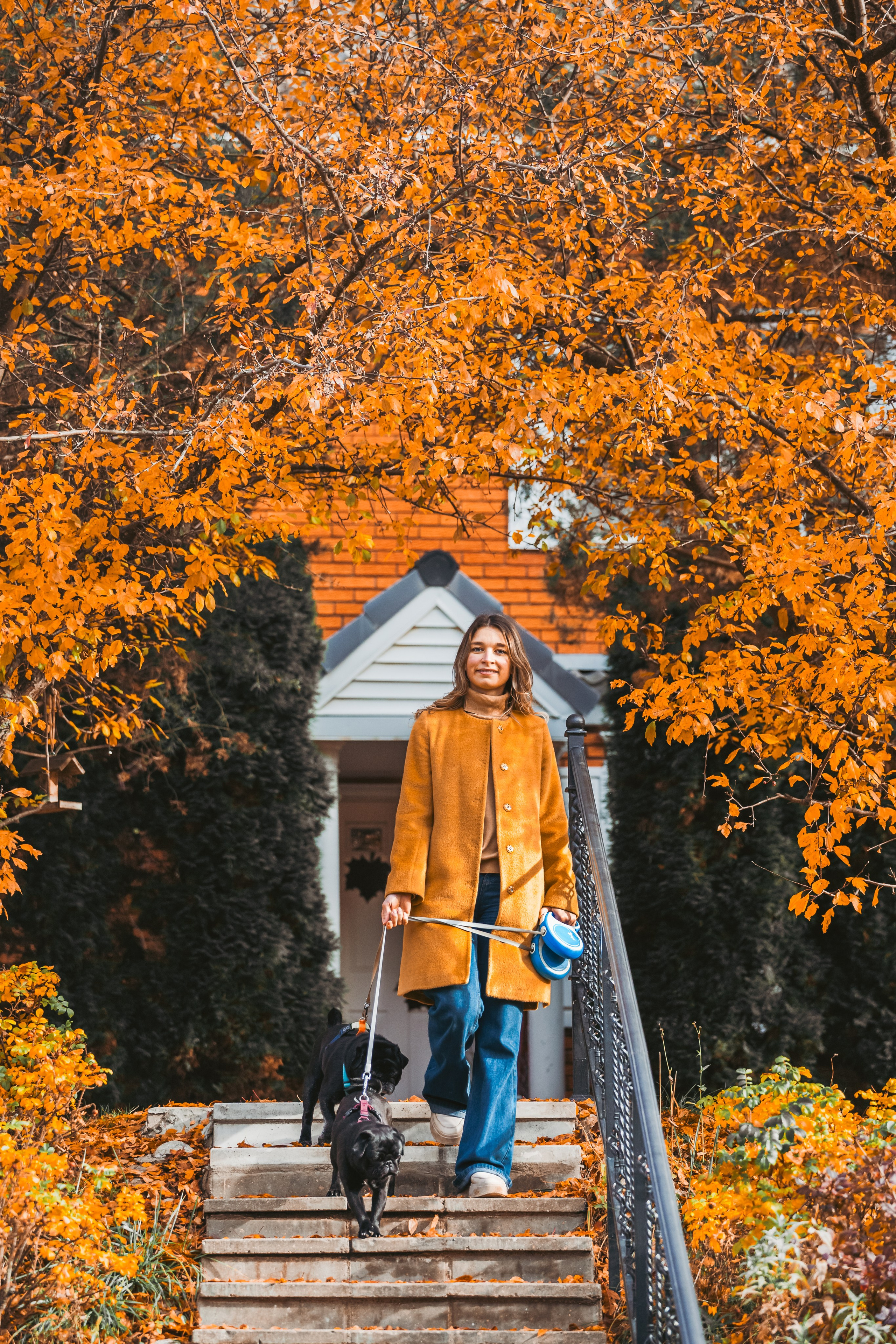 Оля, Харви, Луис. Фотограф-анималист Татьяна Степанова