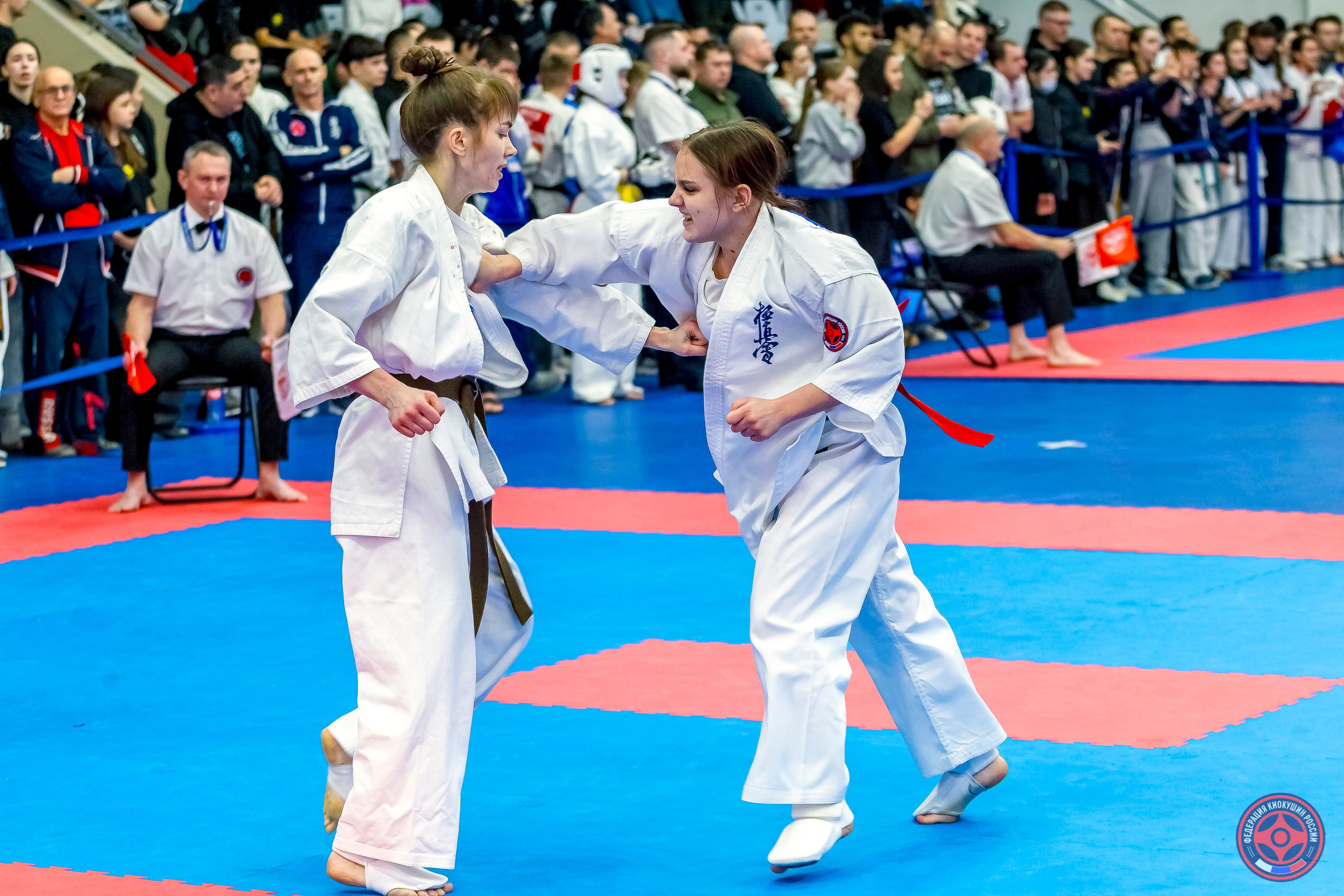 Международный турнир по киокушин «Открытый кубок Seiken». Репортажная съемка в Москве и области. Анималистика