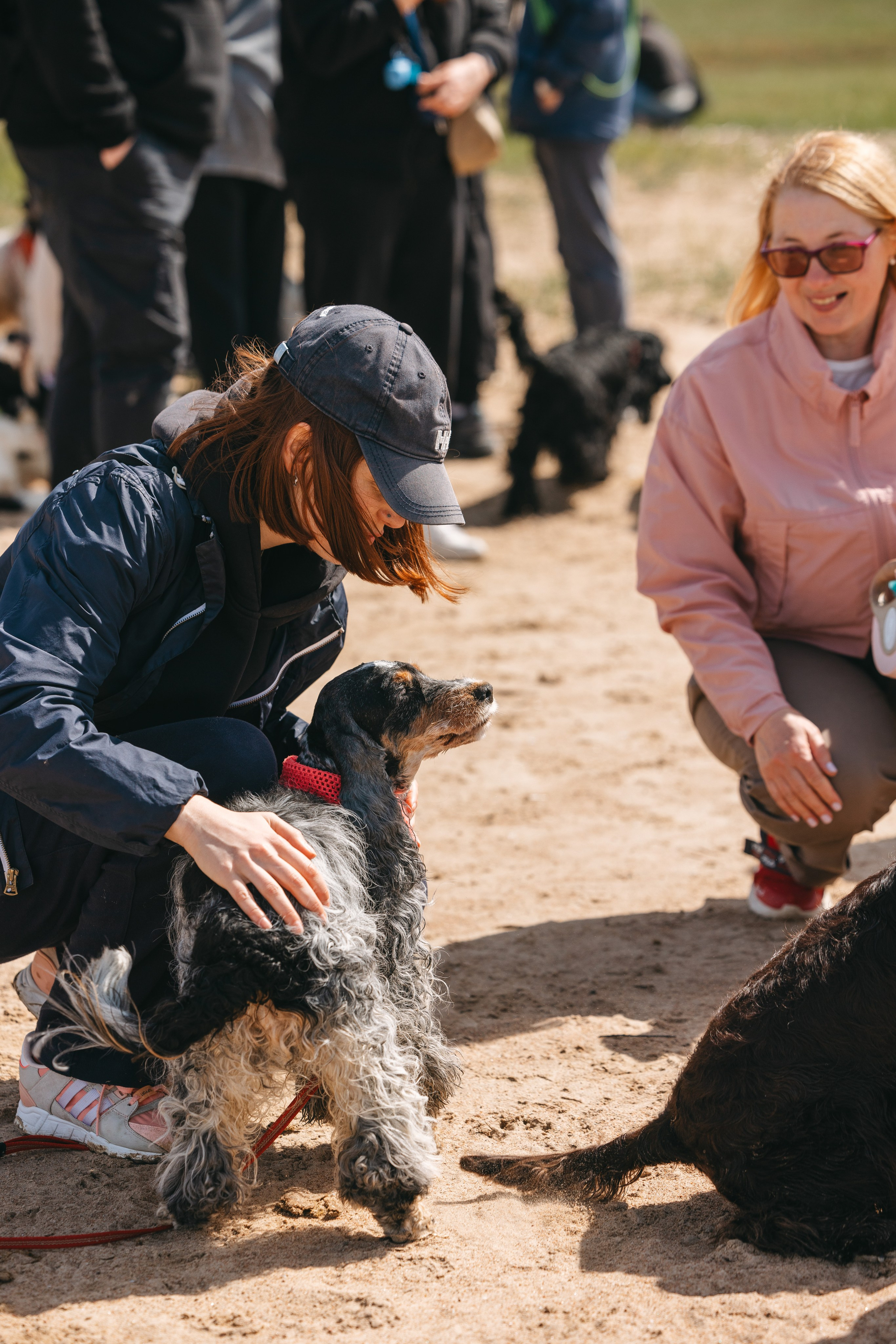 Спанимания. Фотограф анималист Осипчикова Мария