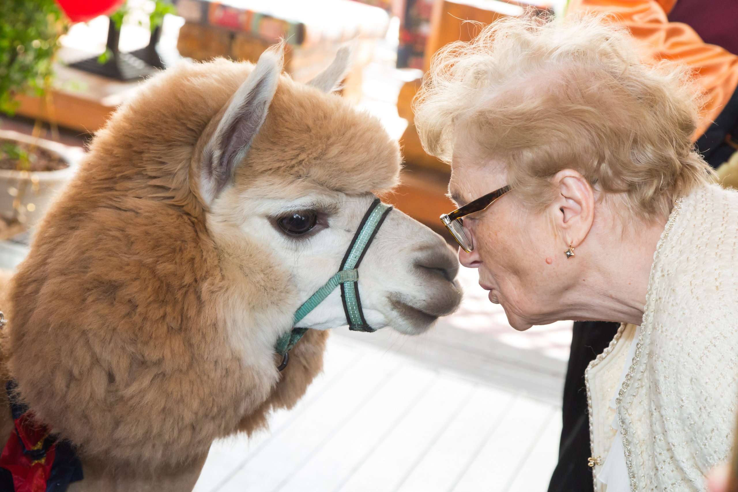 Детские праздники. Рекламный коммерческий фотограф в Москве Владимир Лукьянов