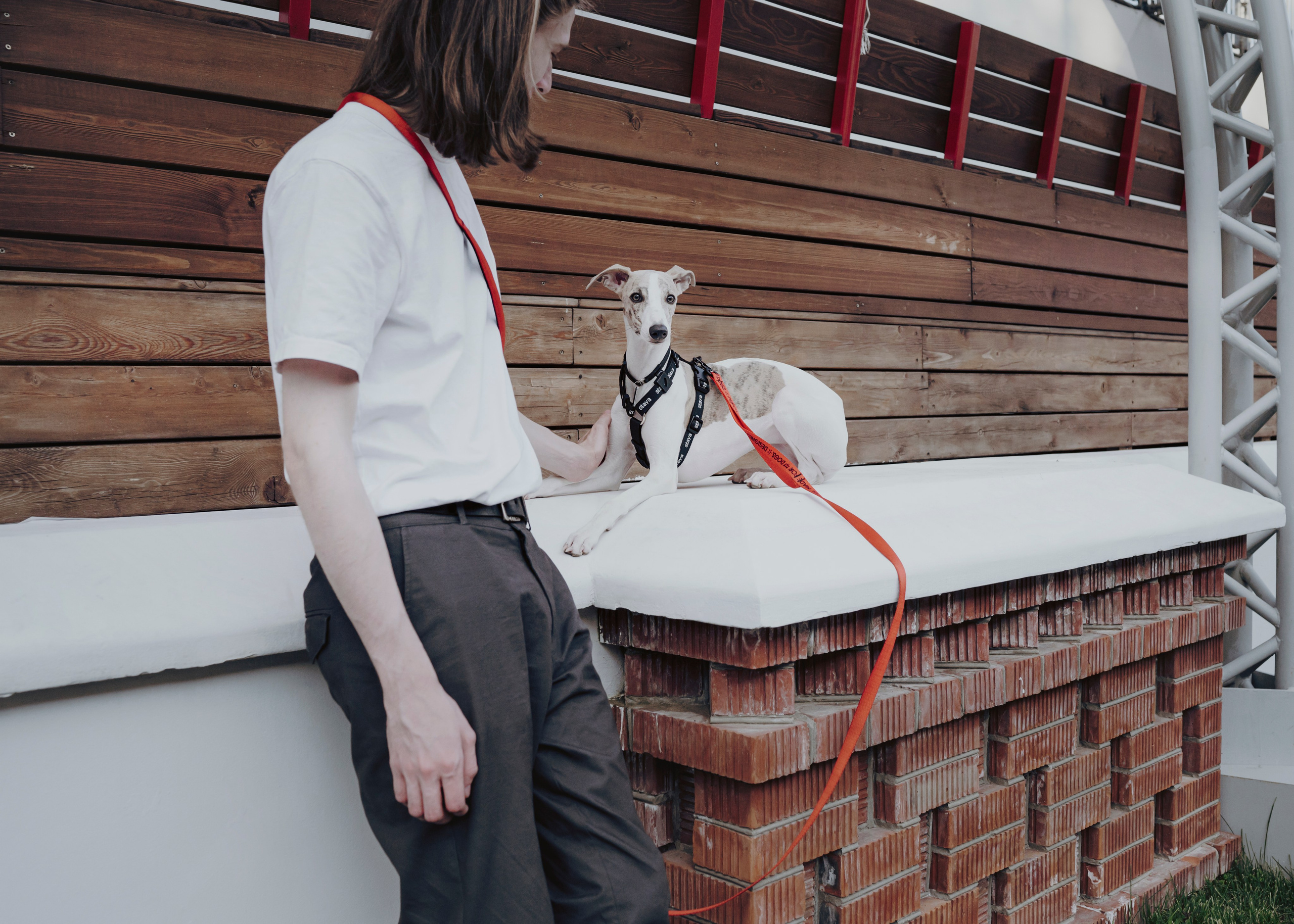 Ветка. Фотограф- анималист Александра Матвеева