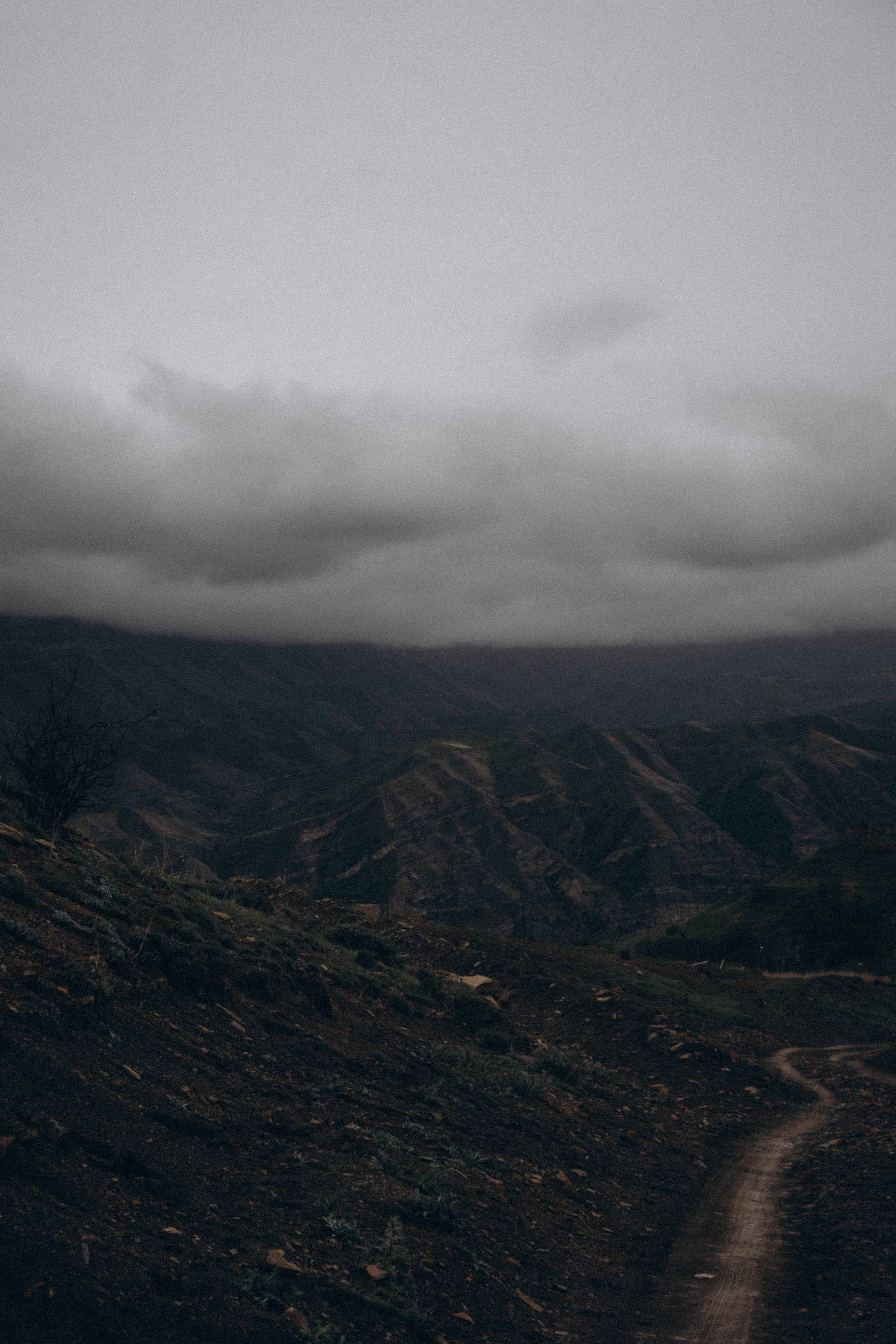 Кавказ. Профессиональный фотограф, Санкт-Петербург — Виктория Богомолова