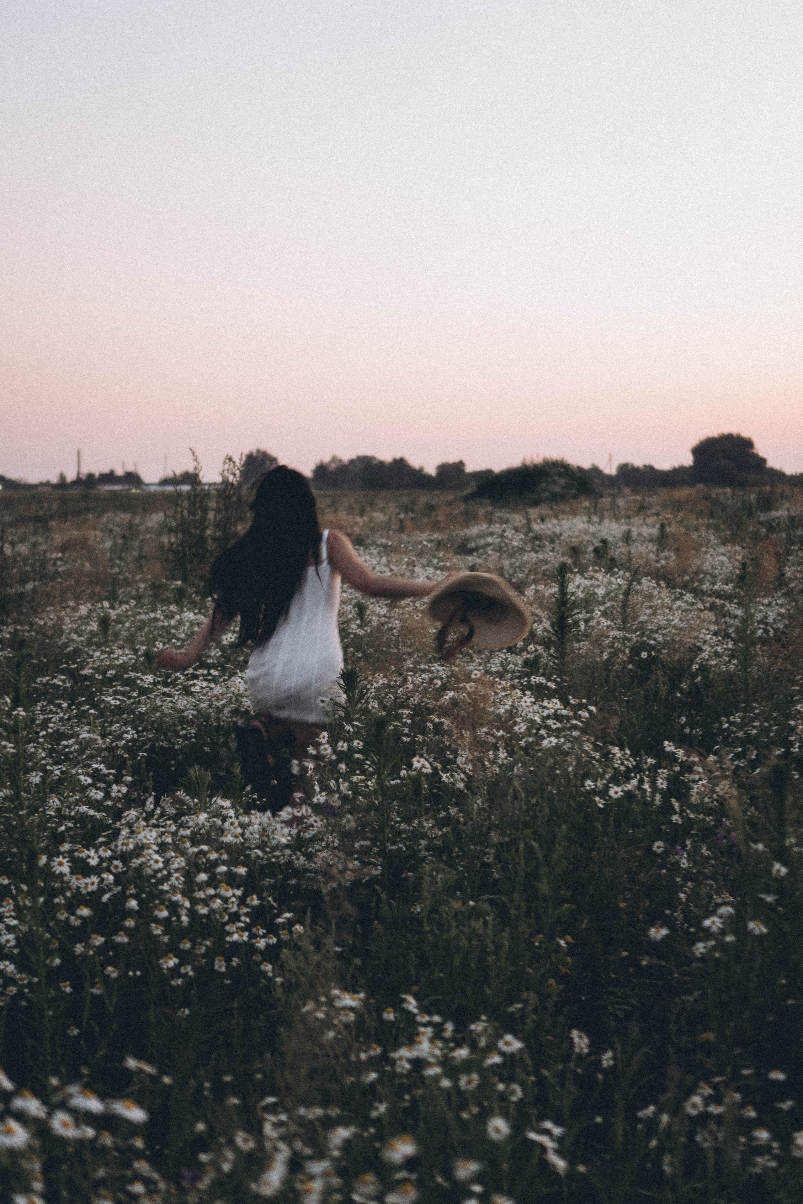 Ромашковое поле. Профессиональный фотограф, Санкт-Петербург — Виктория Богомолова