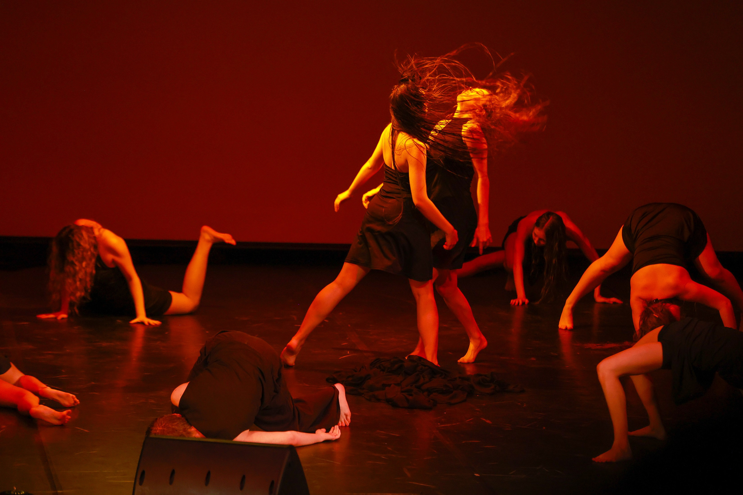 Небесные ласточки на Танц ЭКСПО 2026. Фотограф Юлия Мальцева