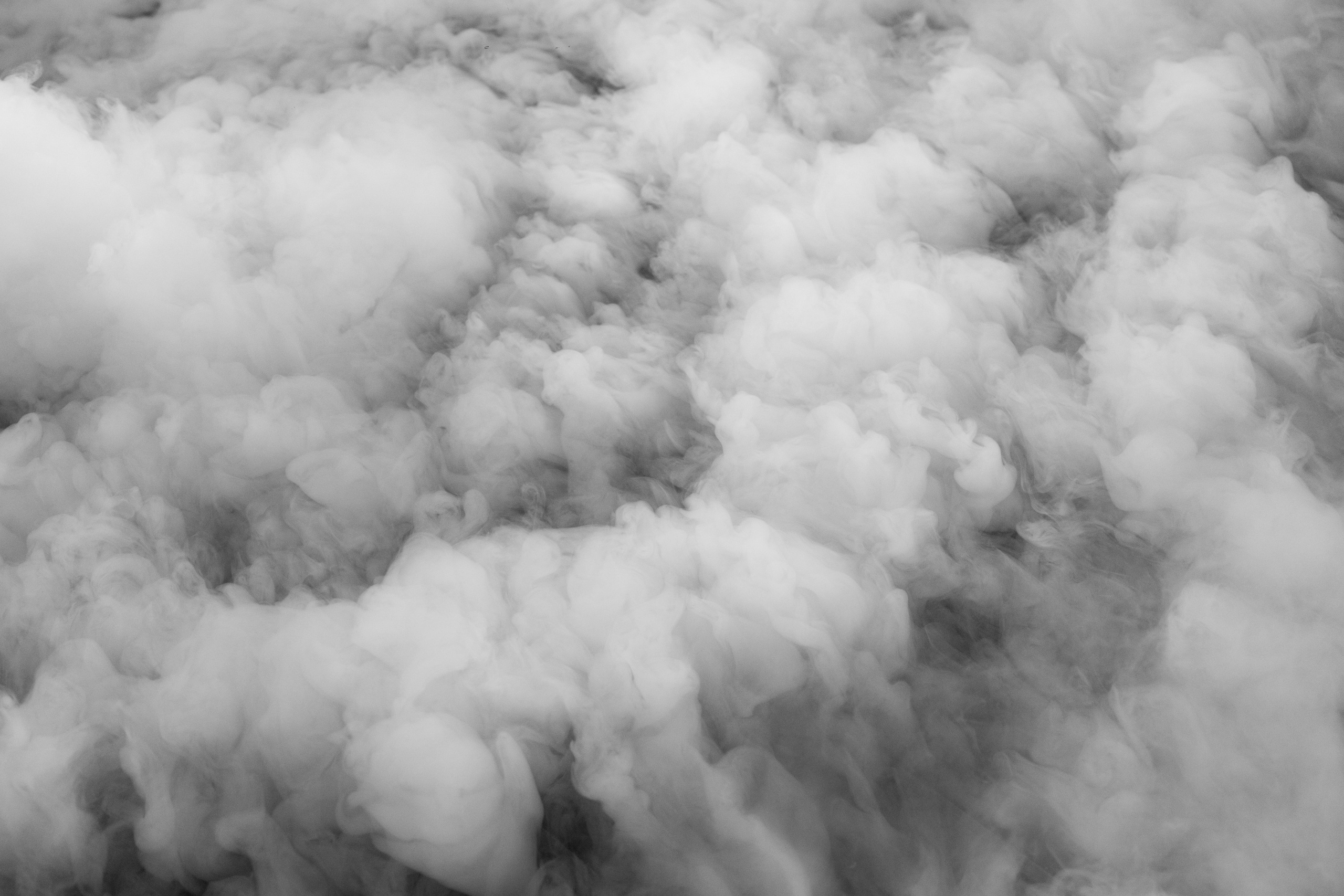 Примеры свадебных съемок. Свадебный фотограф Абакан | Хакасия Никита Бережной