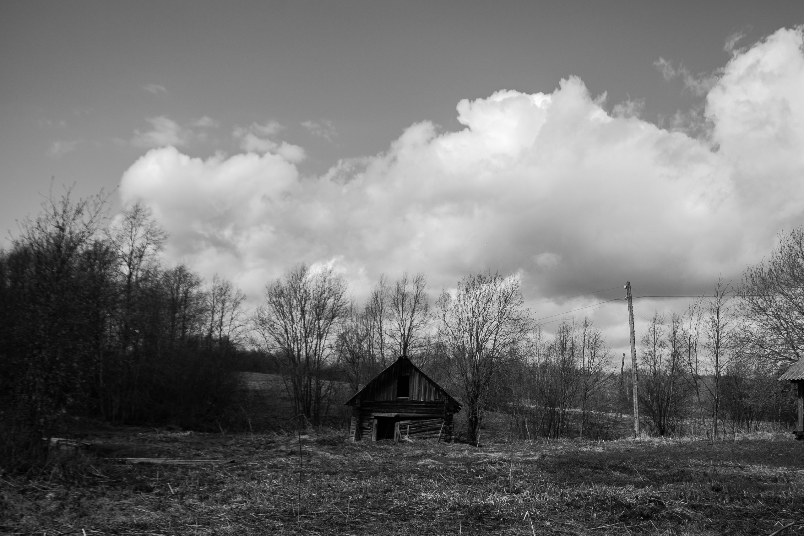 Вепсский ковчег. Полина Щапова БМК235 Медиаком — НИУ ВШЭ