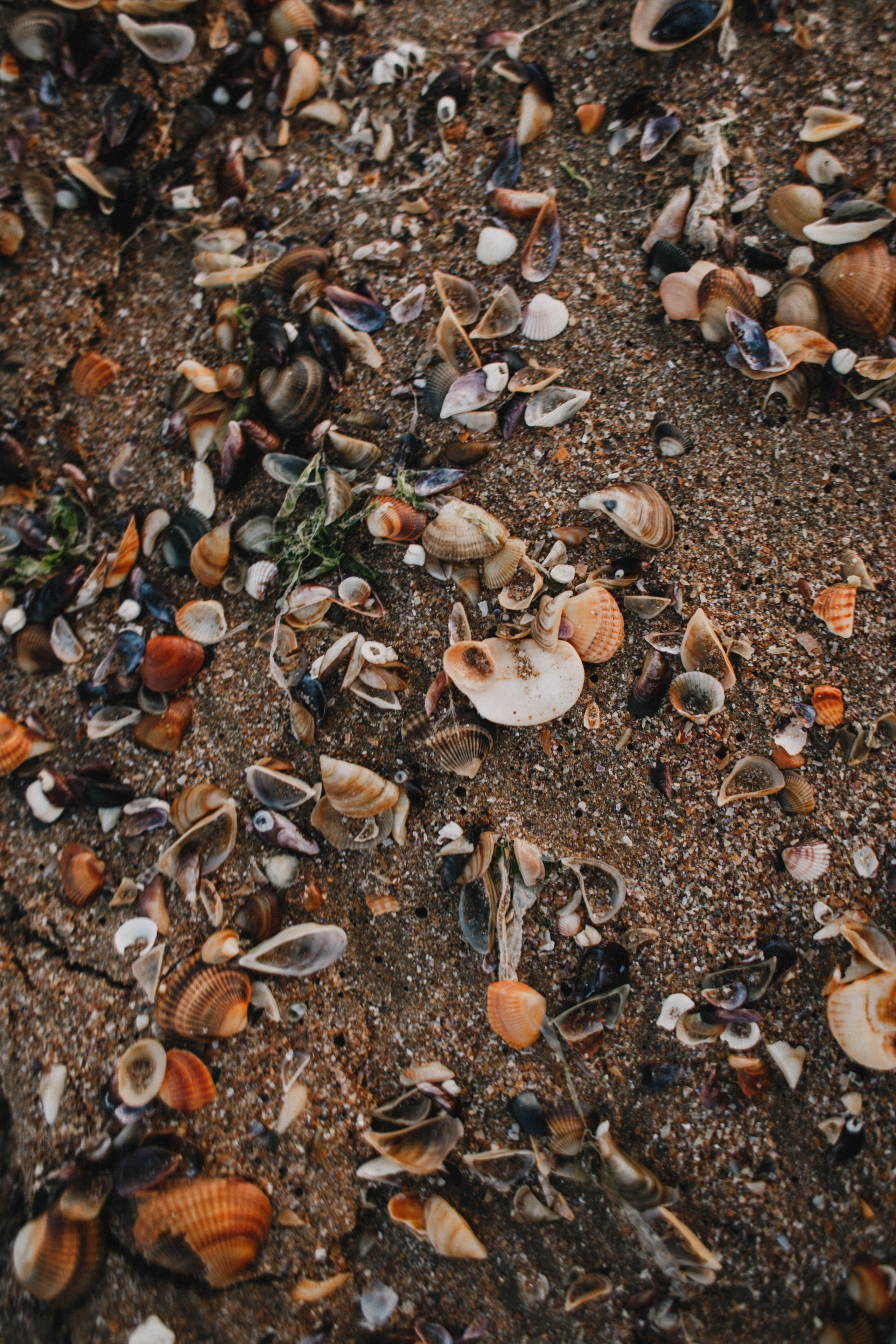 Дагестан. Чечня. 2024. Фотограф в Нижнем Новгороде