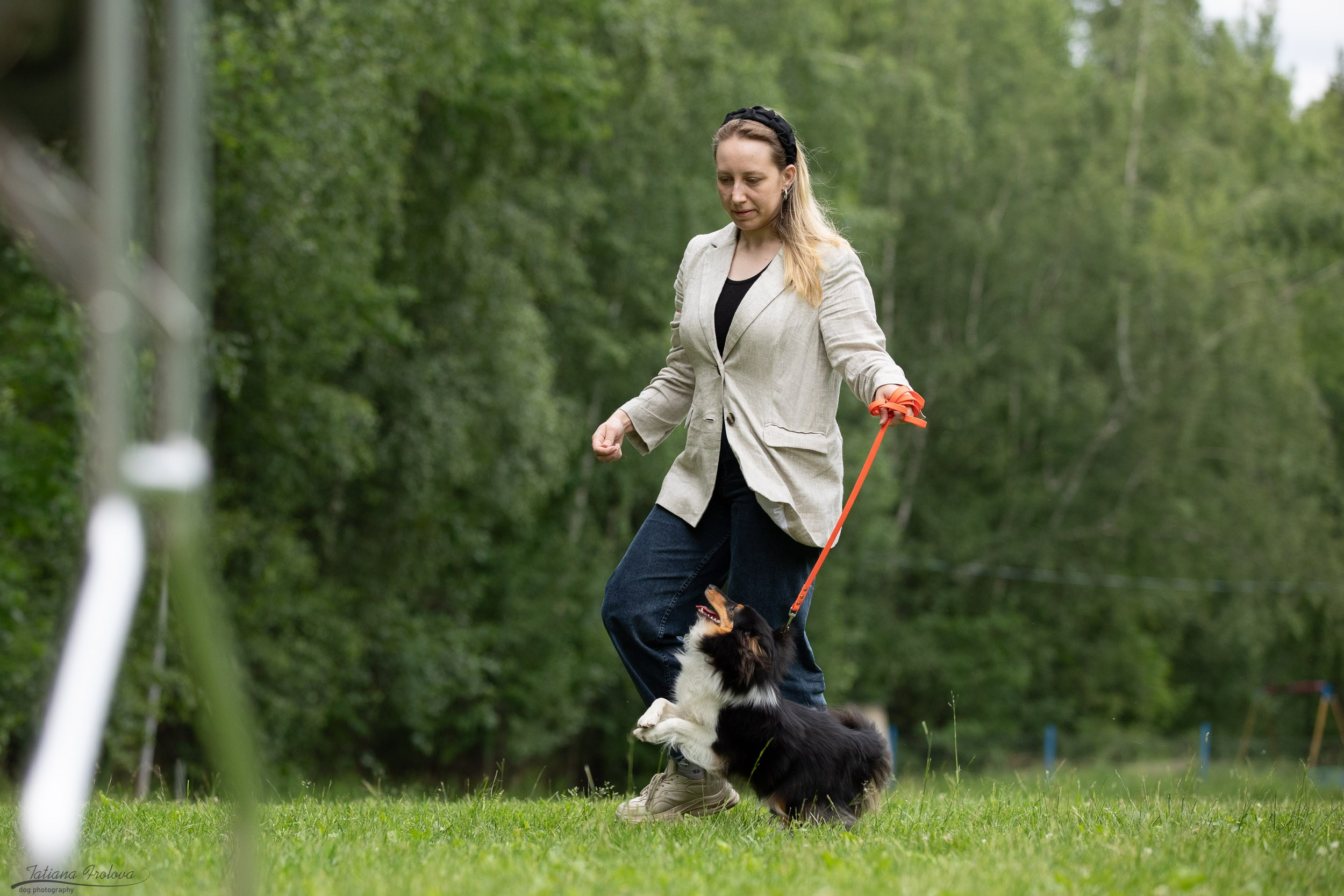Репортаж с выводки молодняка колли/шелти в Ясенево. Фотограф-анималист в Москве и Московской области Татьяна Фролова