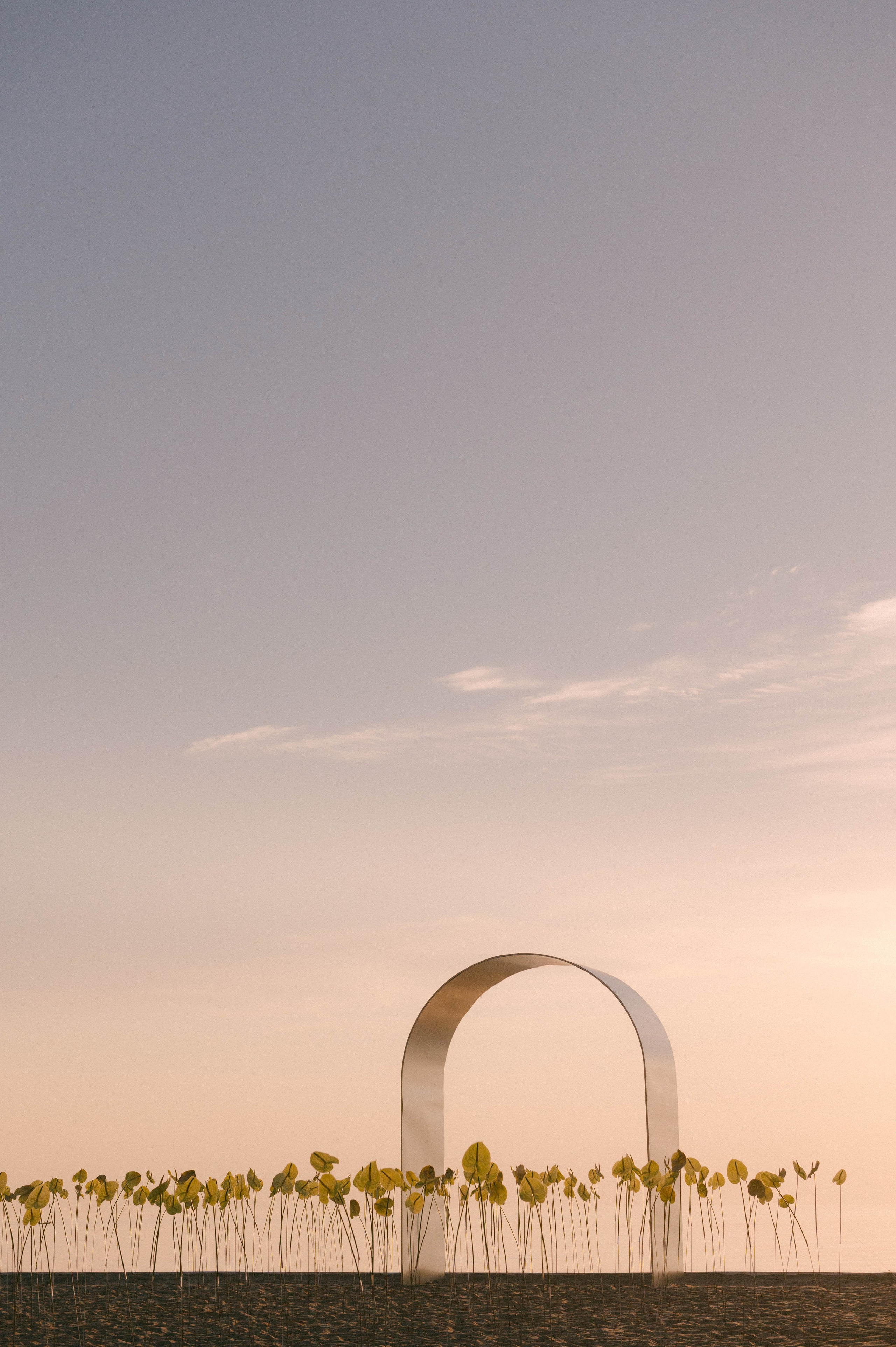 Свадебный фотограф в Санкт-Петербурге, Москве, СПб Сергей Поддубный