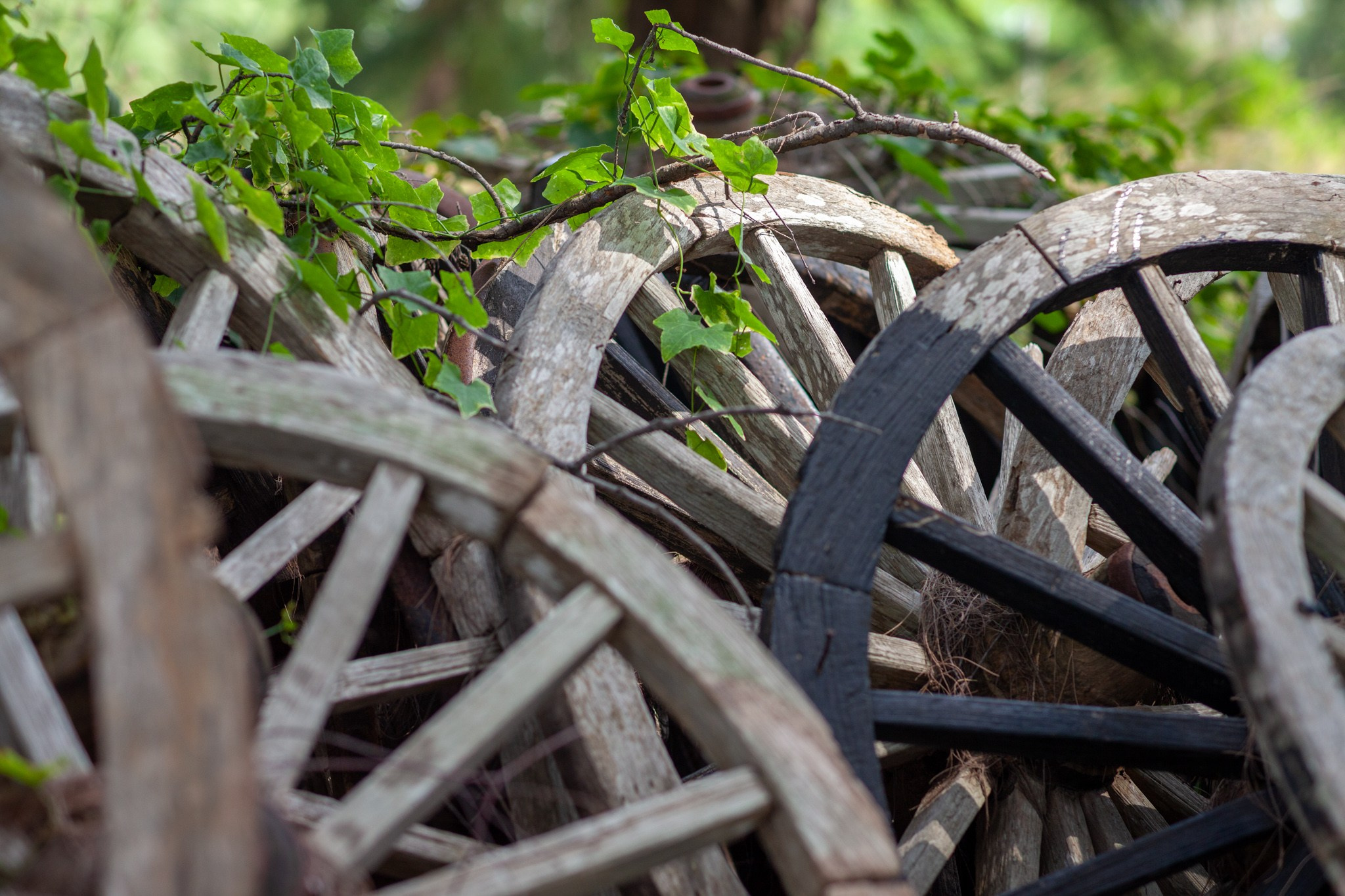 Находка в Таиланде, 2011. Фотограф Василий Буланов