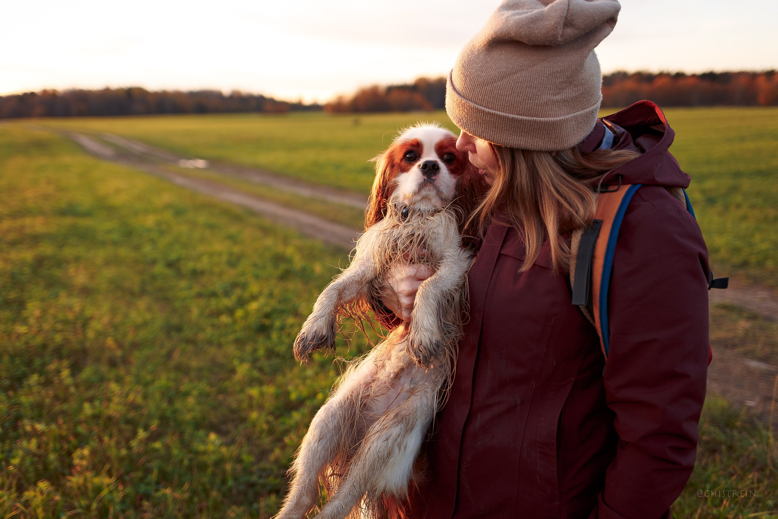 Октябрьский закат в полях. Алина и Лео. Фотограф-анималист Наталия Чистюхина в г. Сосновый Бор и ЛО