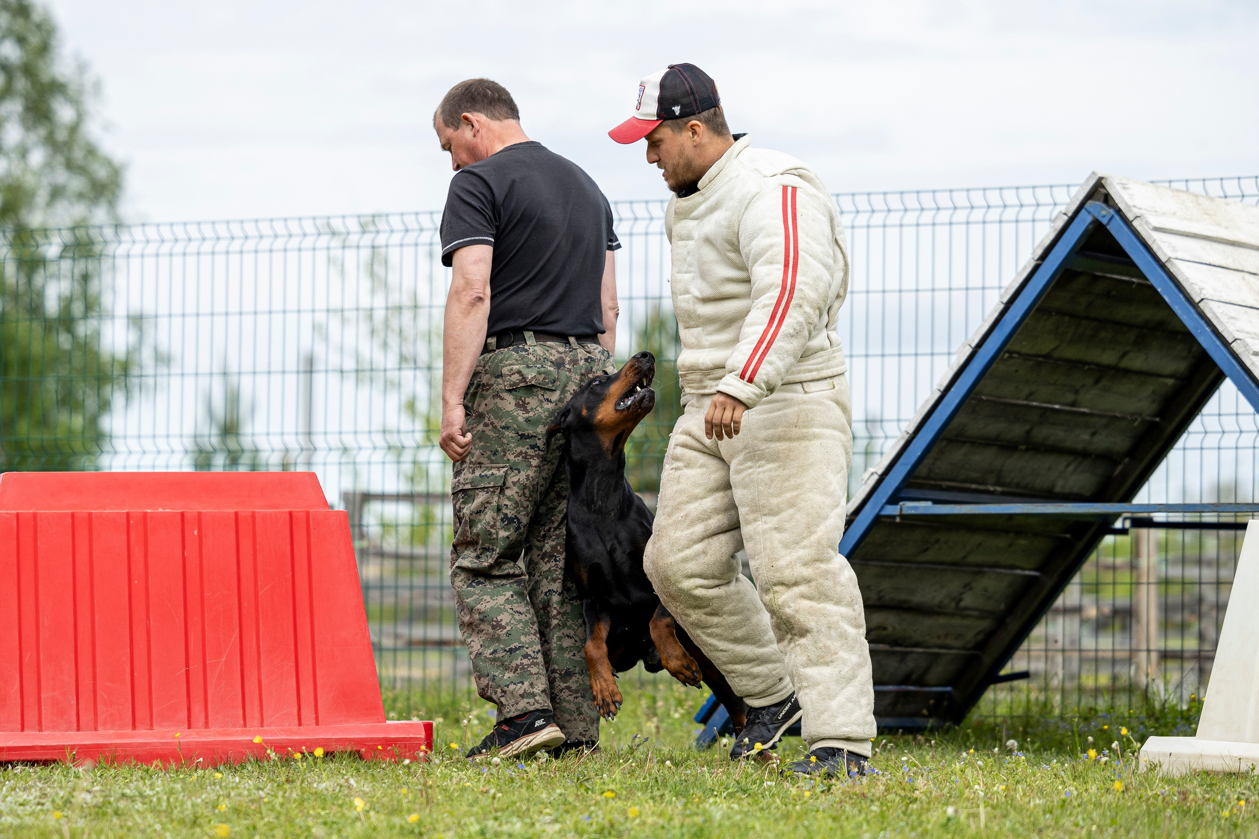 Испытания по мондьорингу в Нижнем Новгороде. Фотограф-анималист Анна Маринич