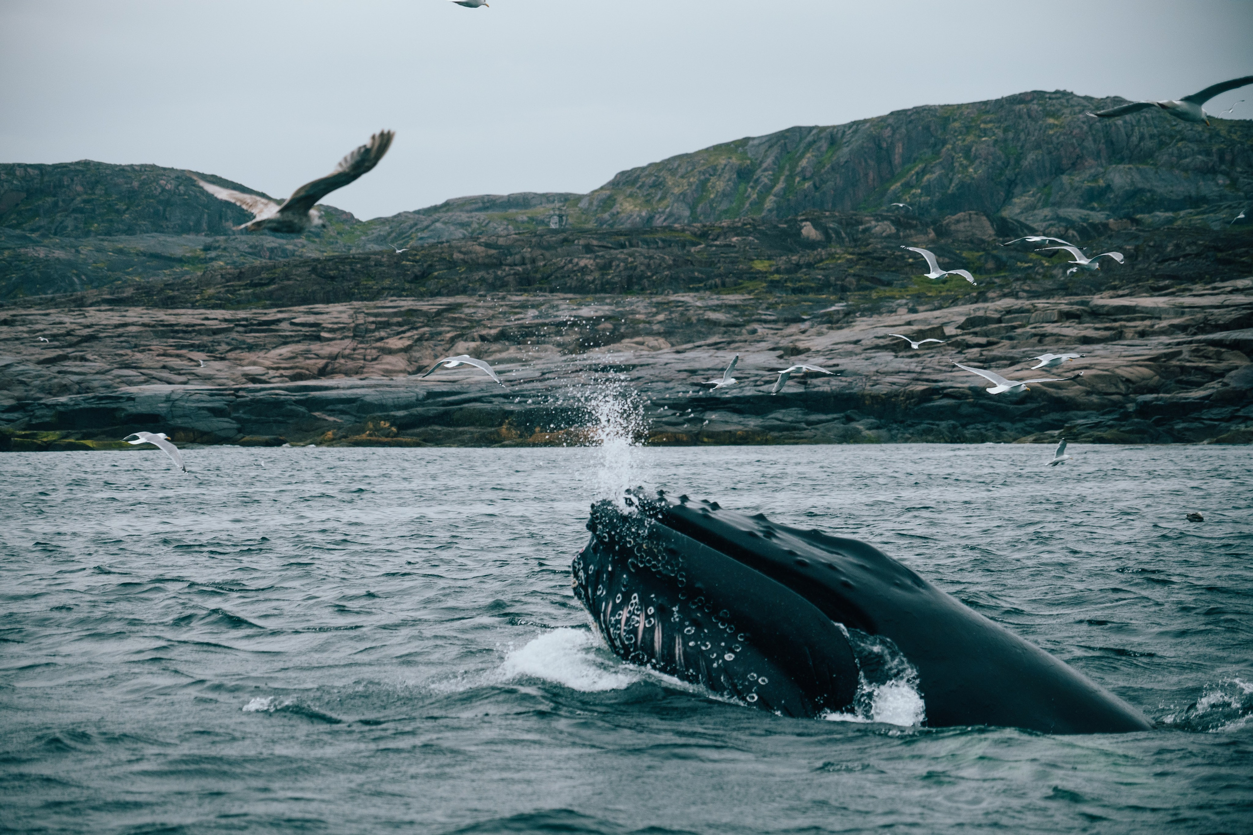 ТЕРИБЕРКА. Создание контента | Фото | Видеосъемка | Александр Ярков