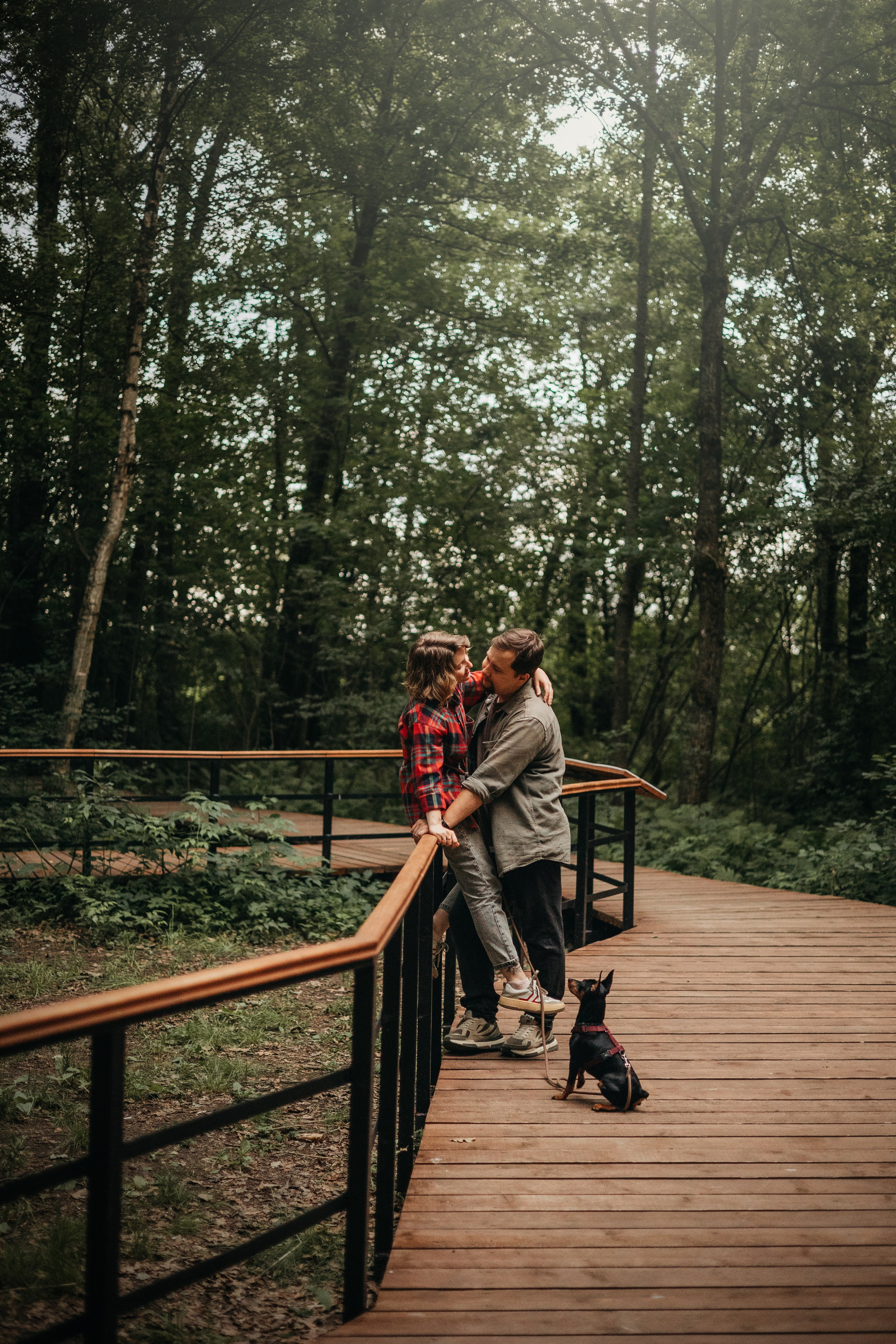 Сириус и его семья. Фотограф — Анималист | Санкт-Петербург