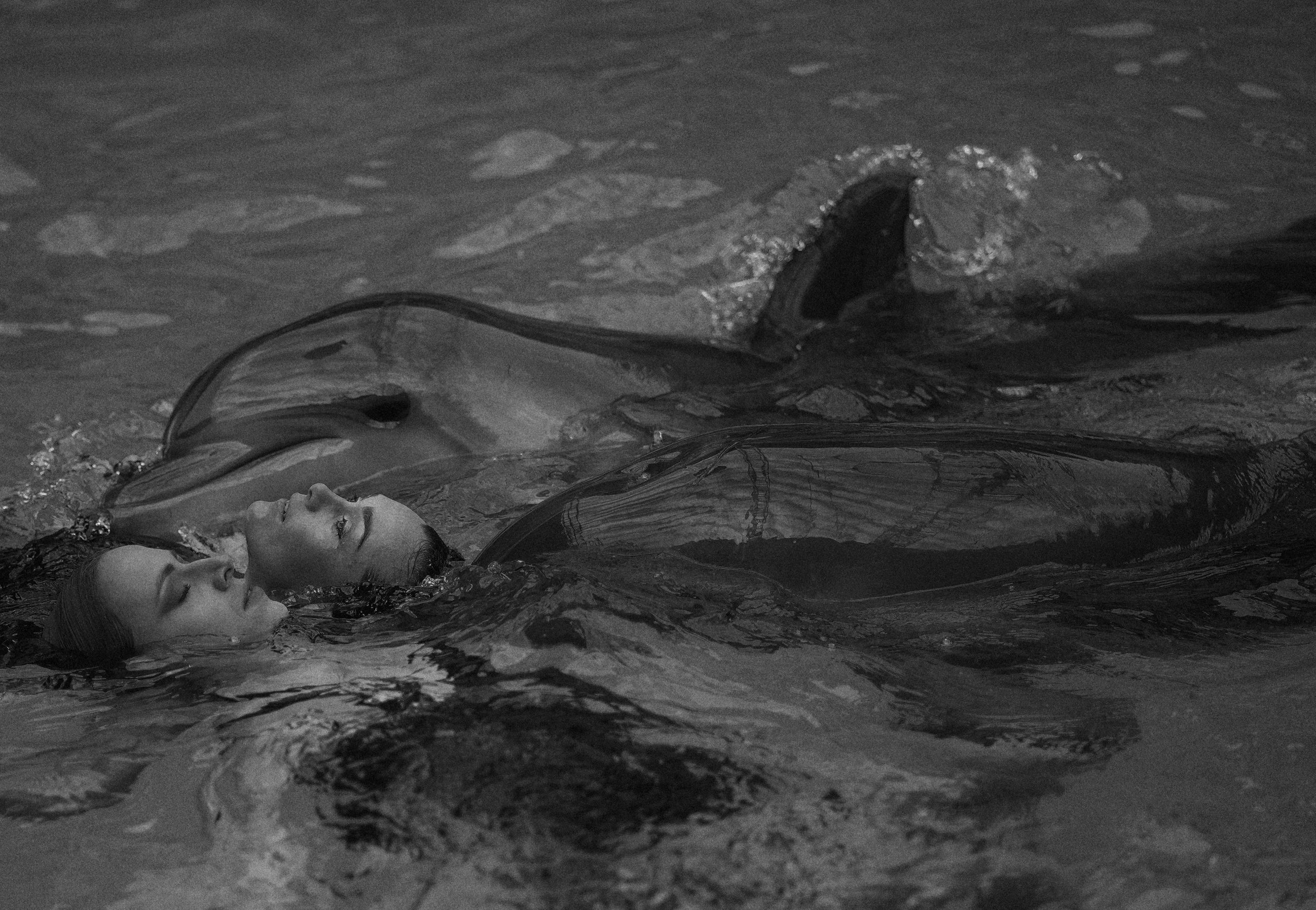 В морском мире. Фотограф Дарья Филатова