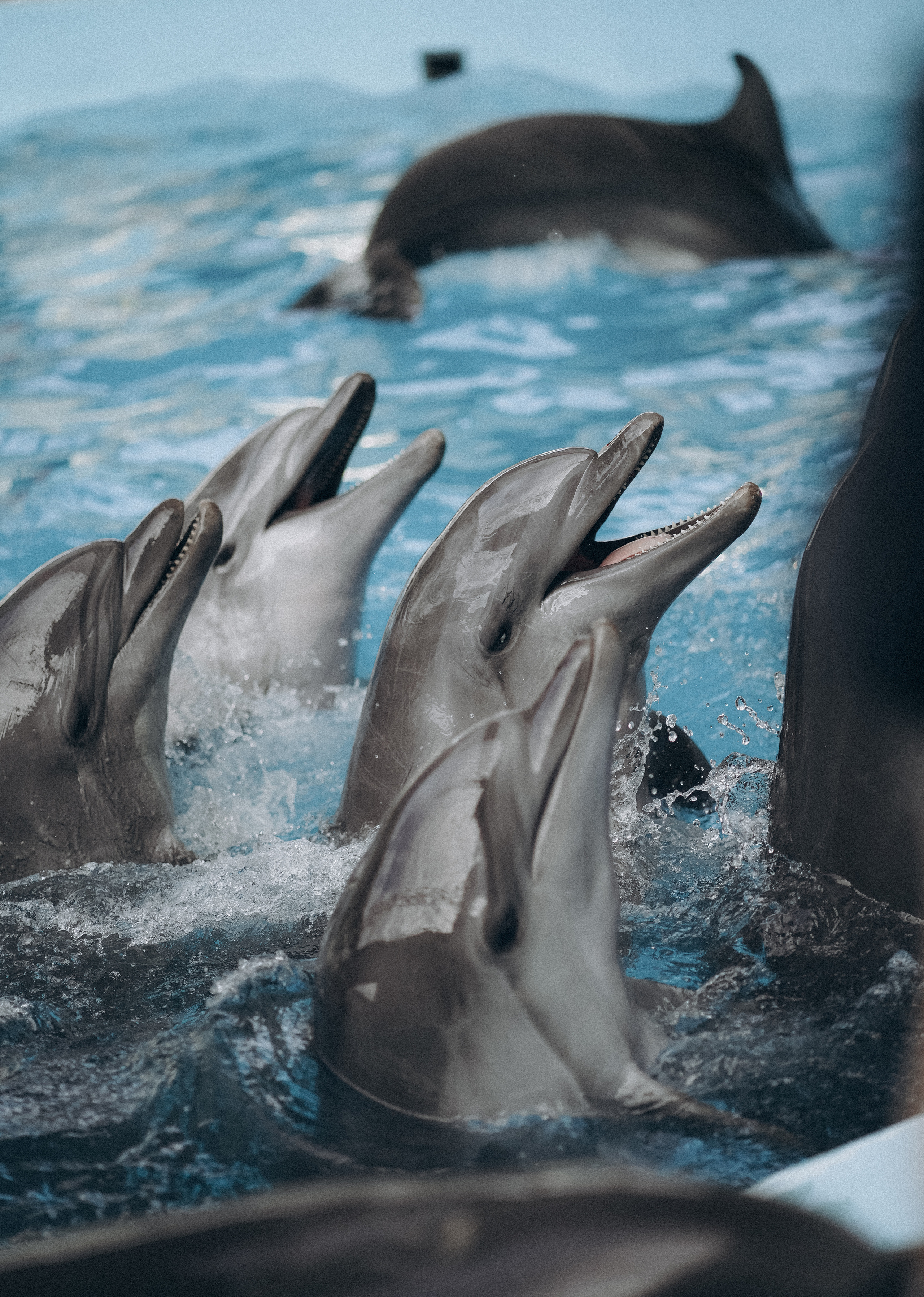 В морском мире. Фотограф Дарья Филатова