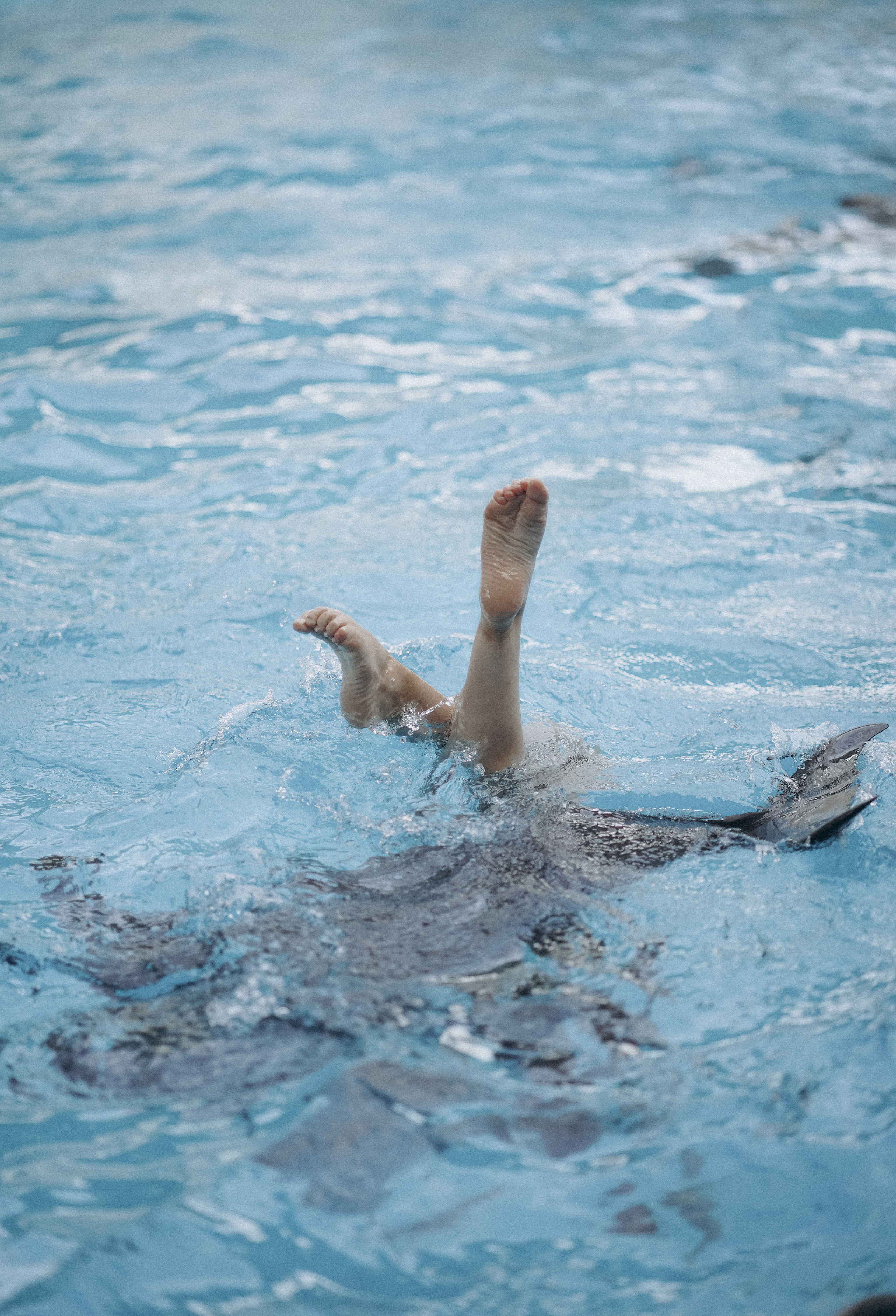 В морском мире. Фотограф Дарья Филатова