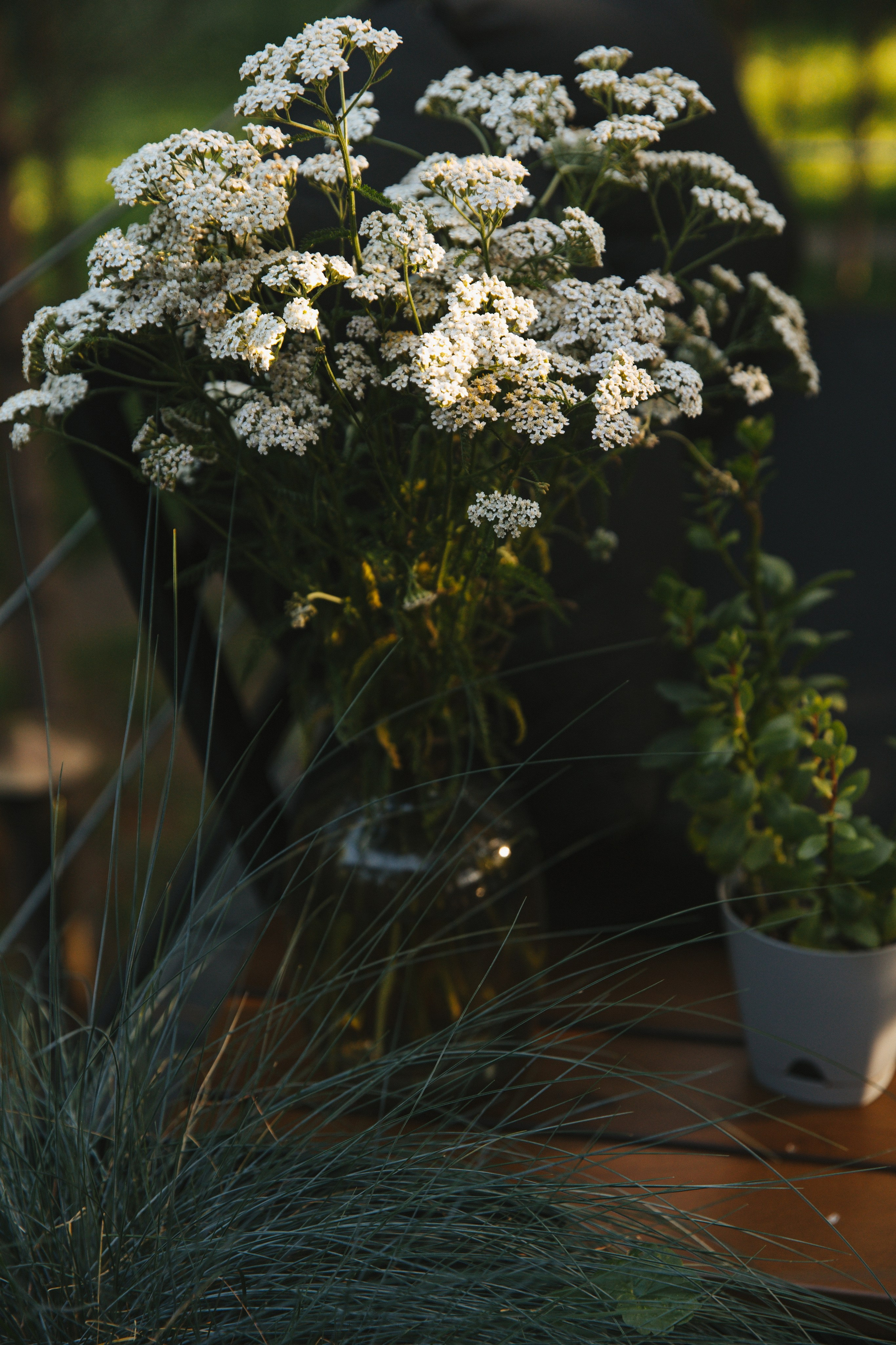 Y & A. Свадебный и семейный фотограф в Красноярске Абраменко Настя